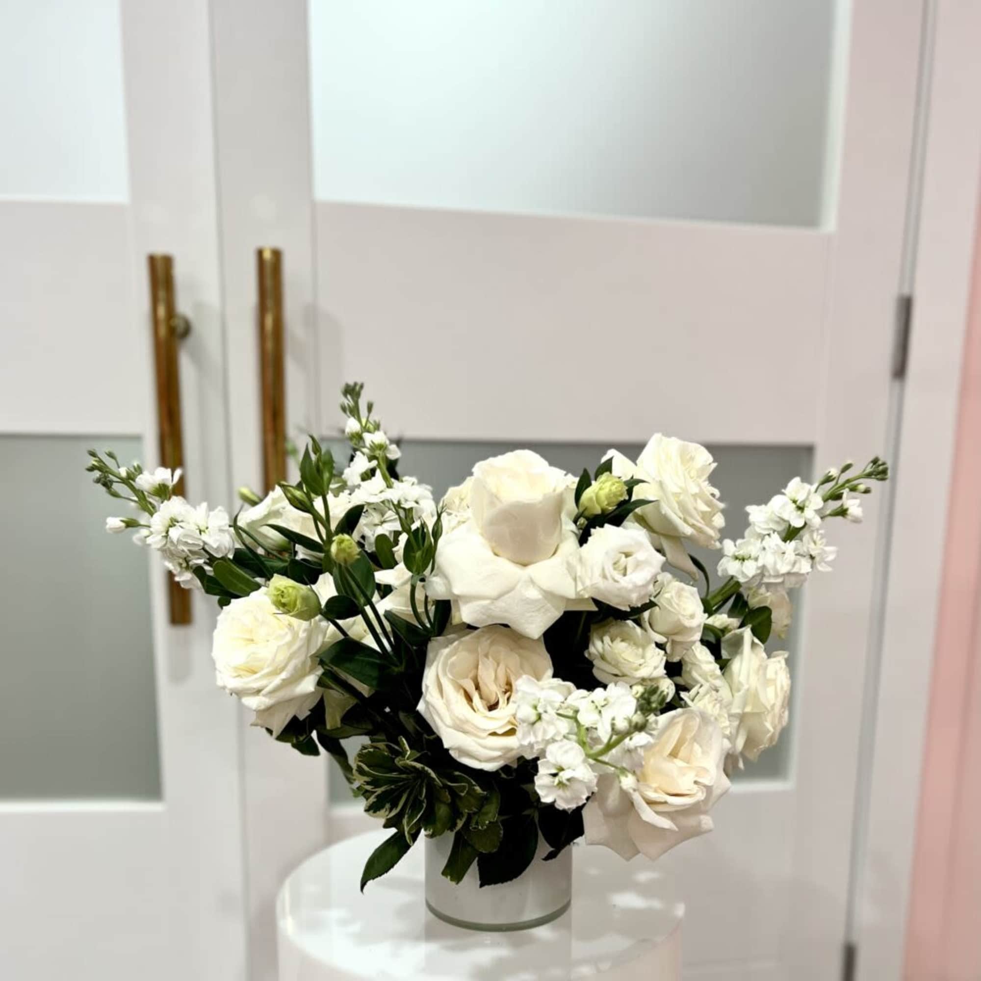 Size:	
Medium ( Standard)
Large(Deluxe)