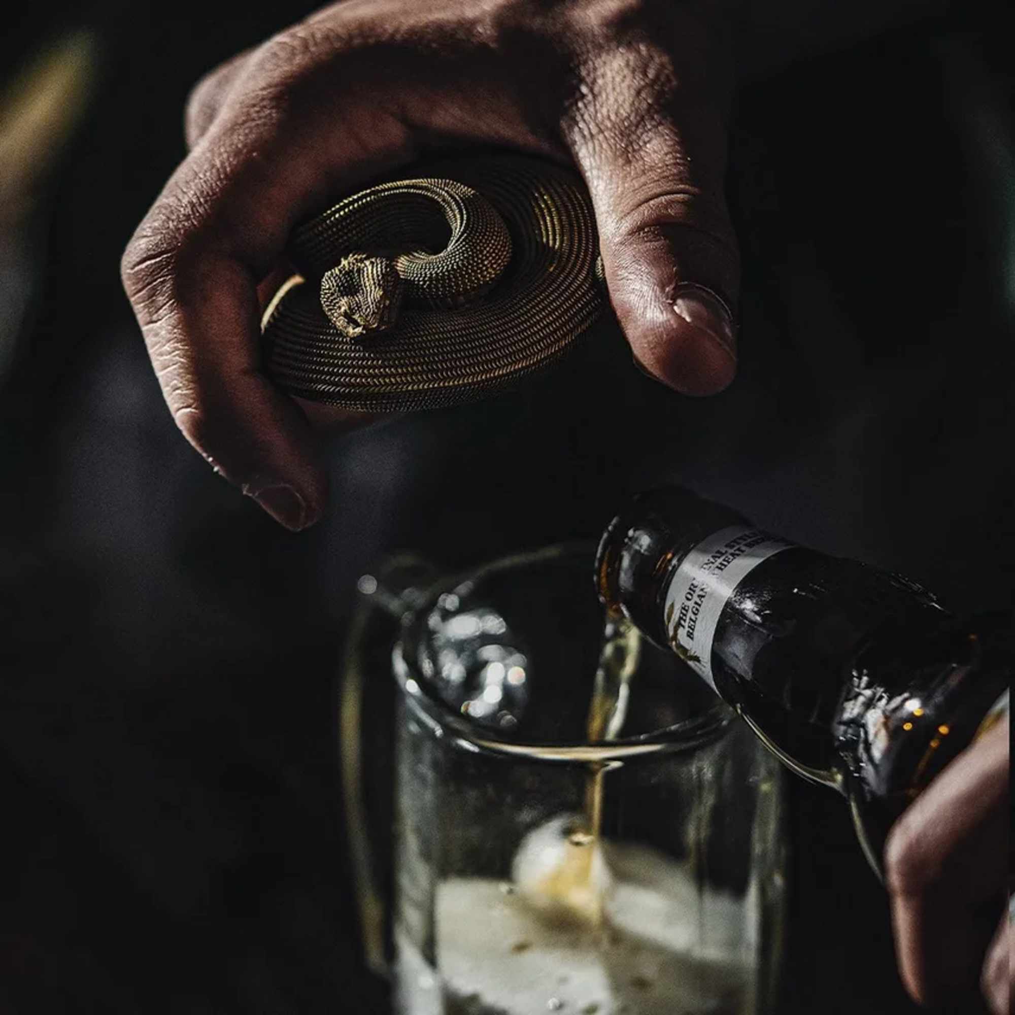 Viper Snake Bottle Opener

About

This bottle opener is modeled after the mighty viper.