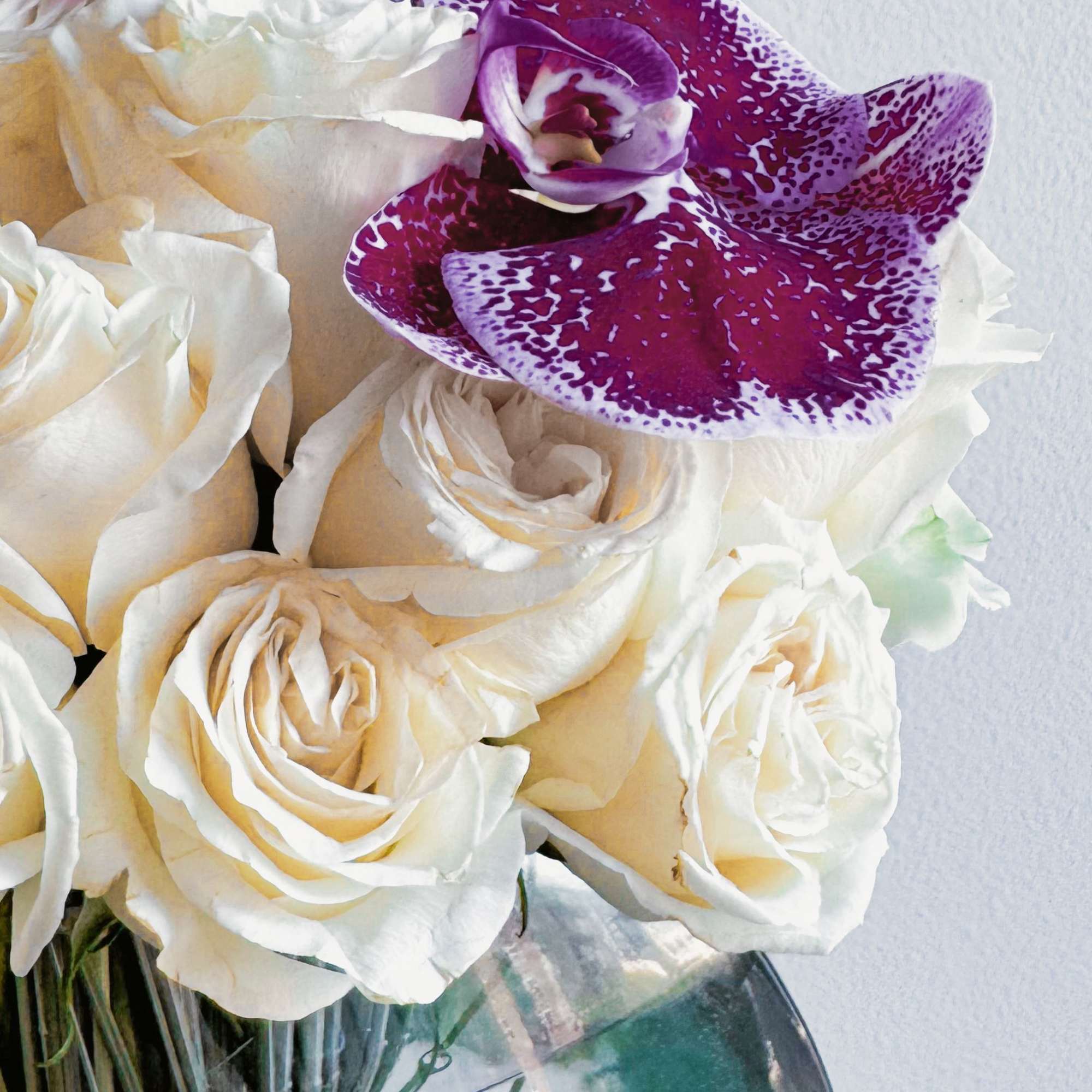 This bouquet is the epitome of timeless elegance and deep emotion. The This bouquet is the epitome of timeless elegance and deep emotion. The