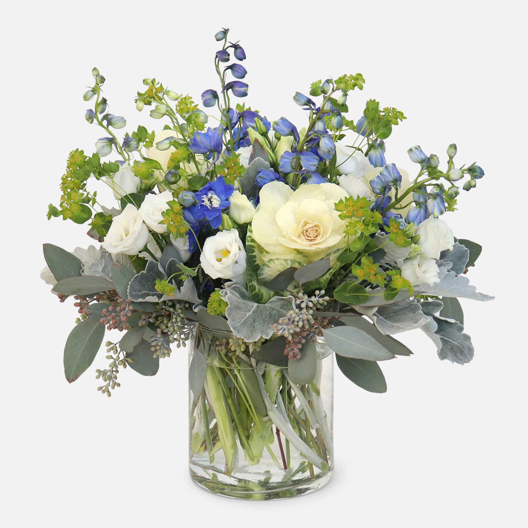 [ Height: 11&#039;&#039; - 12&#039;&#039; | Diameter: 13&#039;&#039; - 14&quot; ]
A crisp