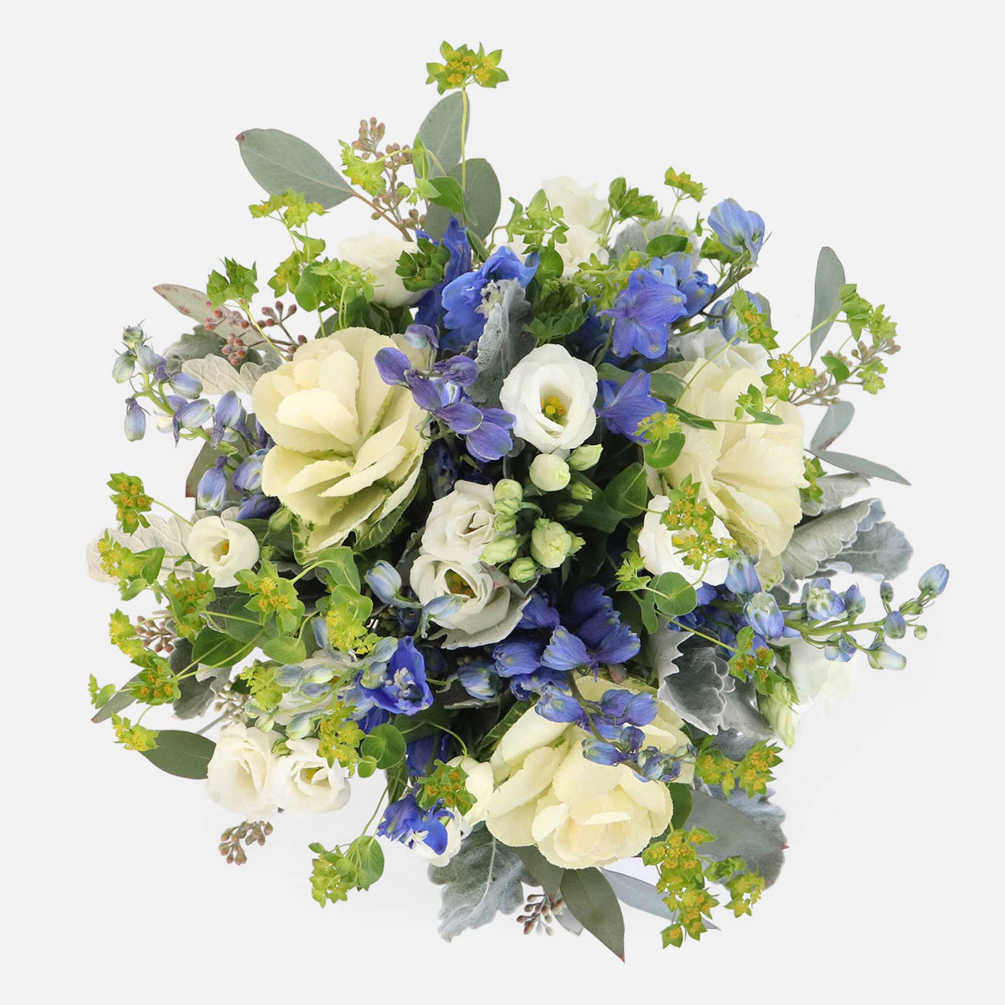 [ Height: 11&#039;&#039; - 12&#039;&#039; | Diameter: 13&#039;&#039; - 14&quot; ]
A crisp