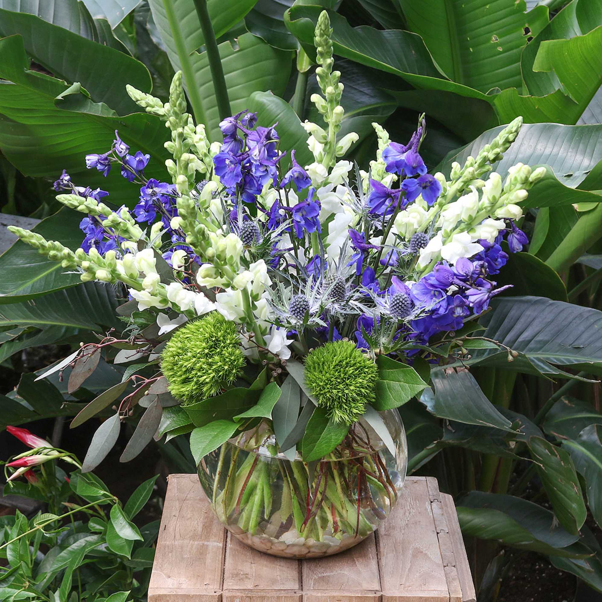 [ Height: 19&#039;&#039; - 20&#039;&#039; | Diameter: 16&#039;&#039; - 17&#039;&#039; ]
This sure-to-please