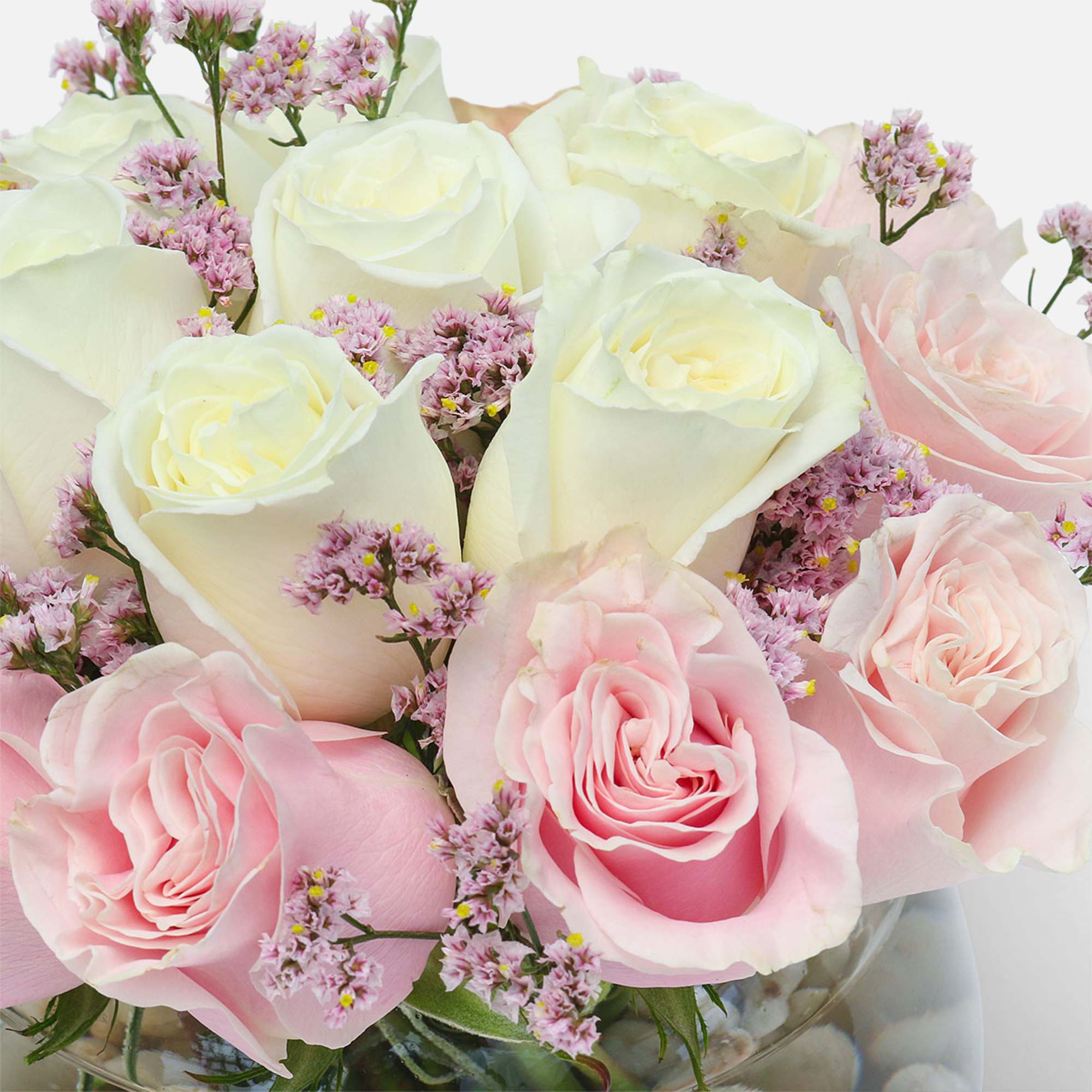 [ Height: 10&#039;&#039; - 11&#039;&#039; | Diameter: 10&#039;&#039; - 11&#039;&#039; ]
A delicate