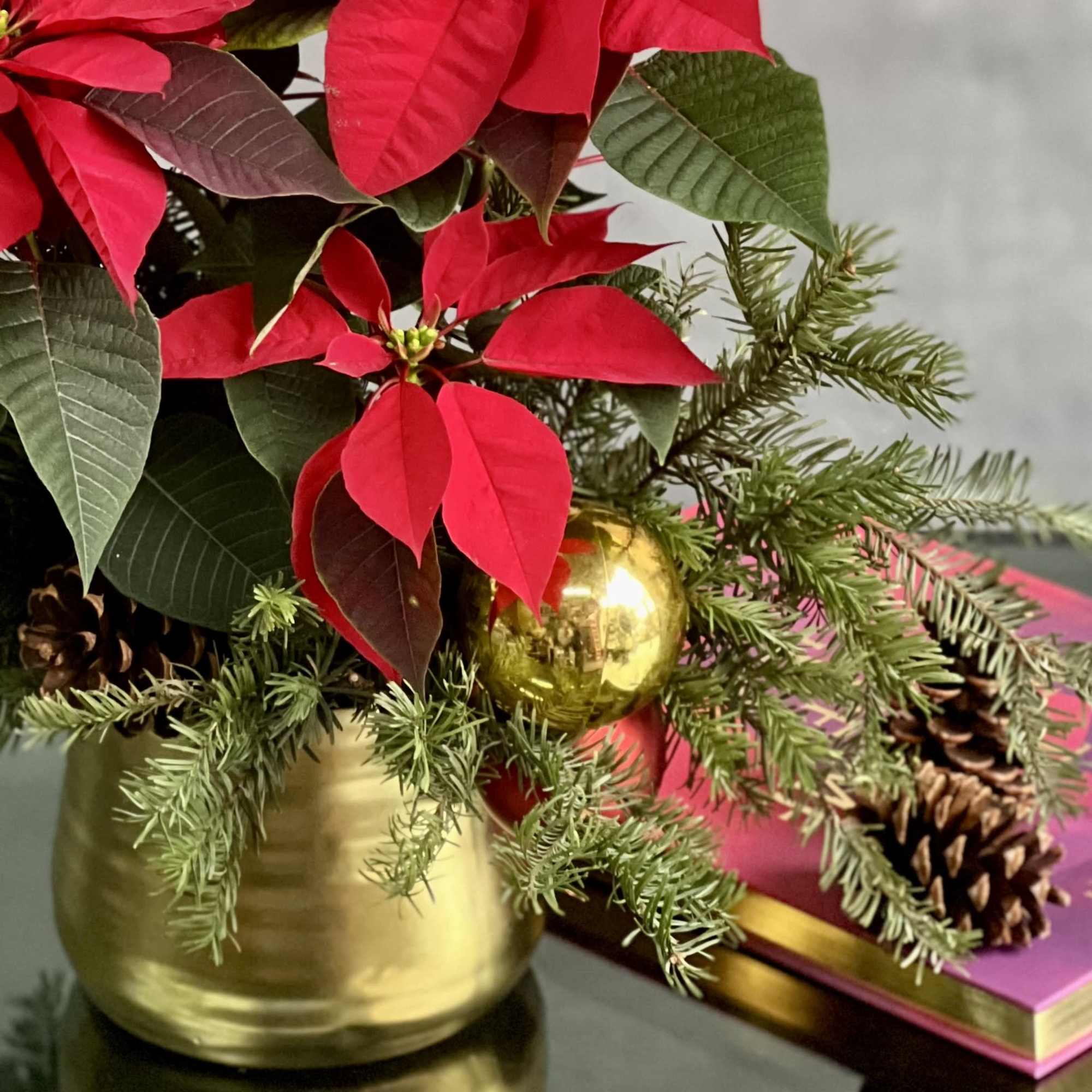 The perfect gift to deliver Christmas greetings to that someone special, or