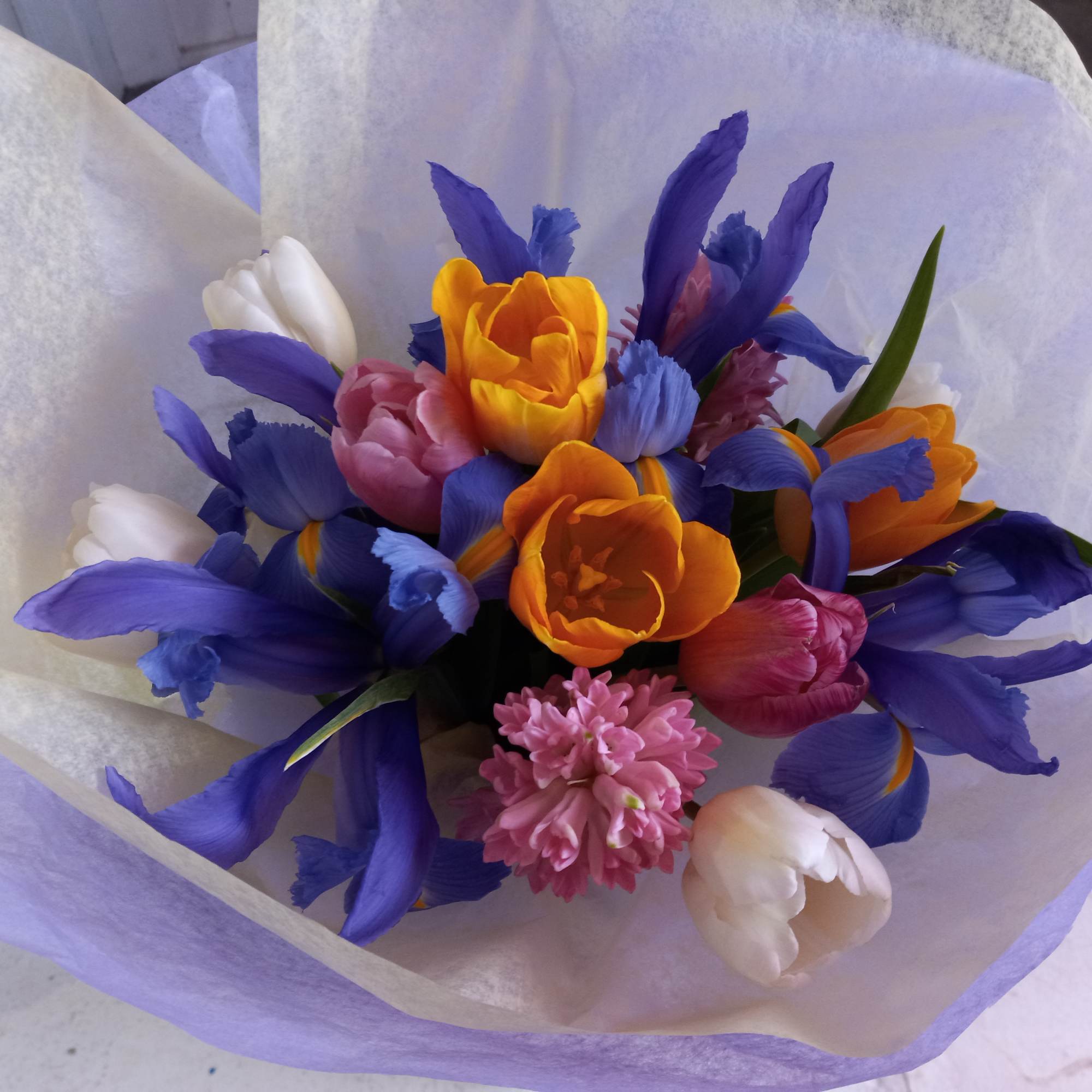 Fresh as spring it self, spring mix contains all the spring bulb