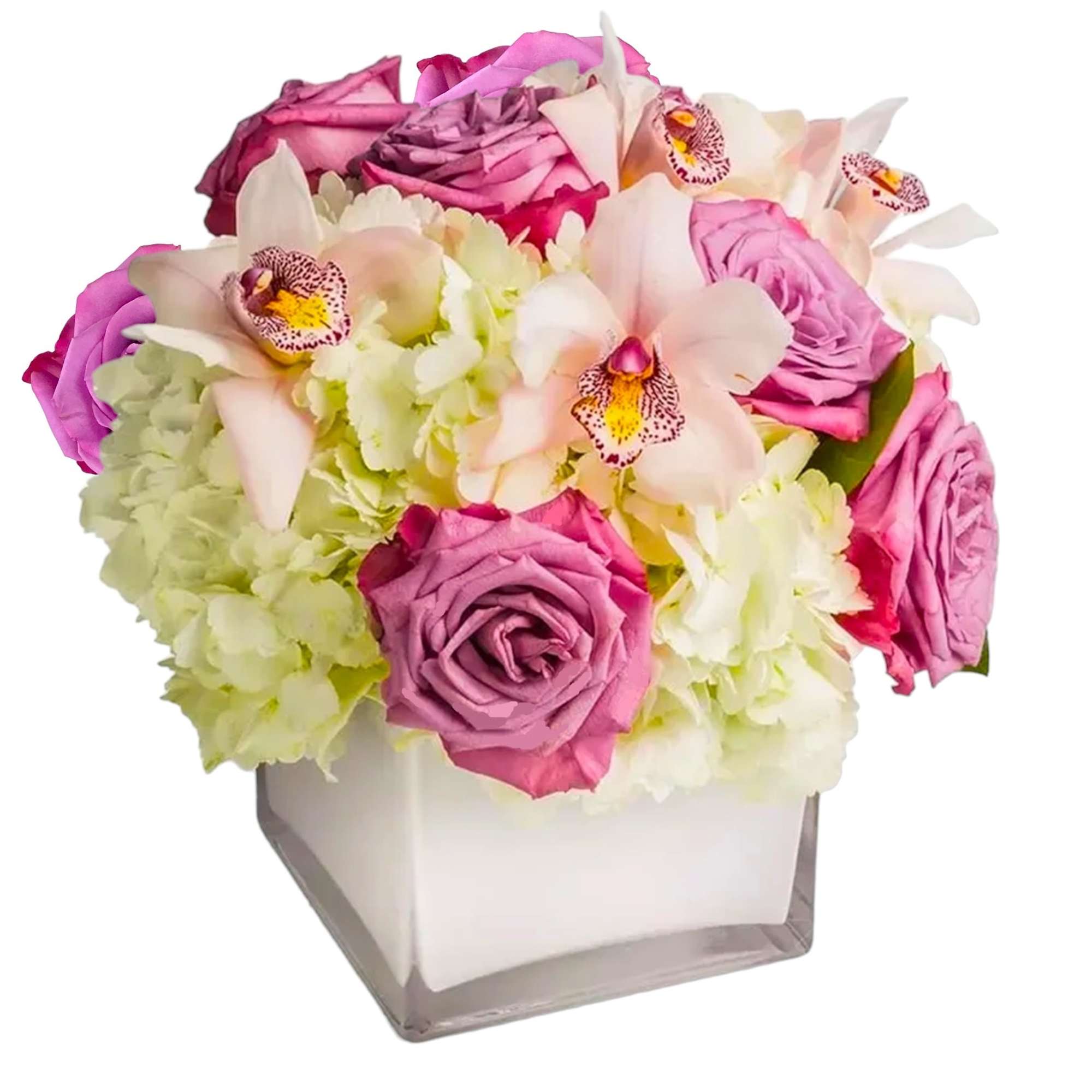 Our most popular arrangement! Pop of Lavender by BloomNation&trade; is the perfect