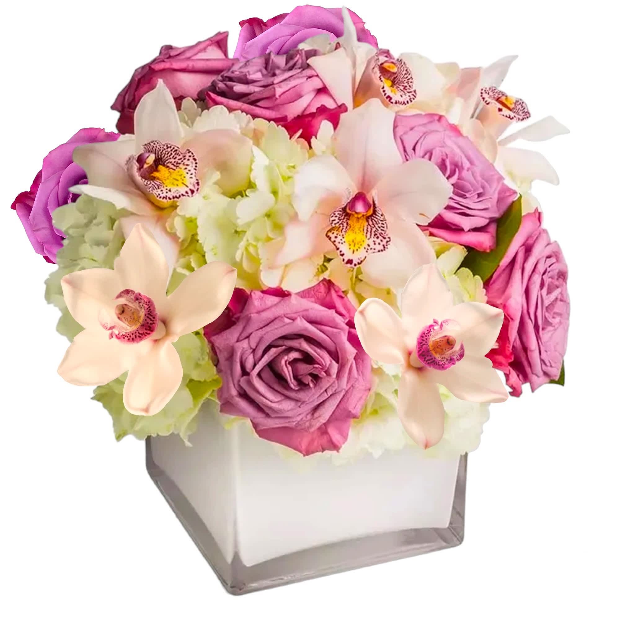 Our most popular arrangement! Pop of Lavender by BloomNation&trade; is the perfect