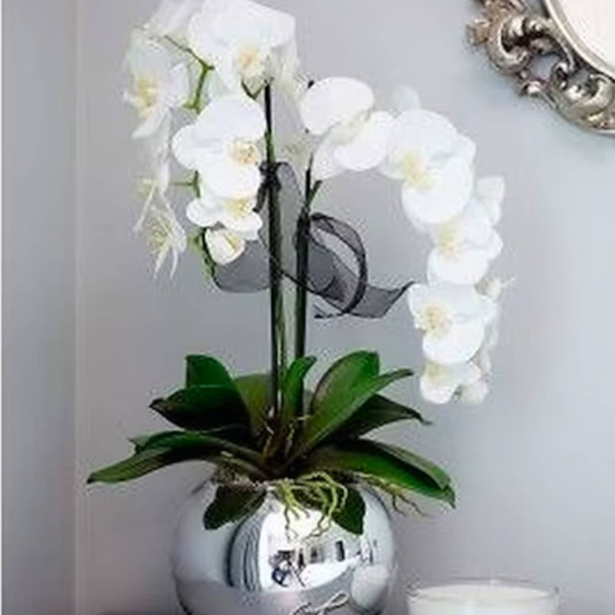 Beautiful orchid in a silver ball in 2-3-4 different orchids depending on