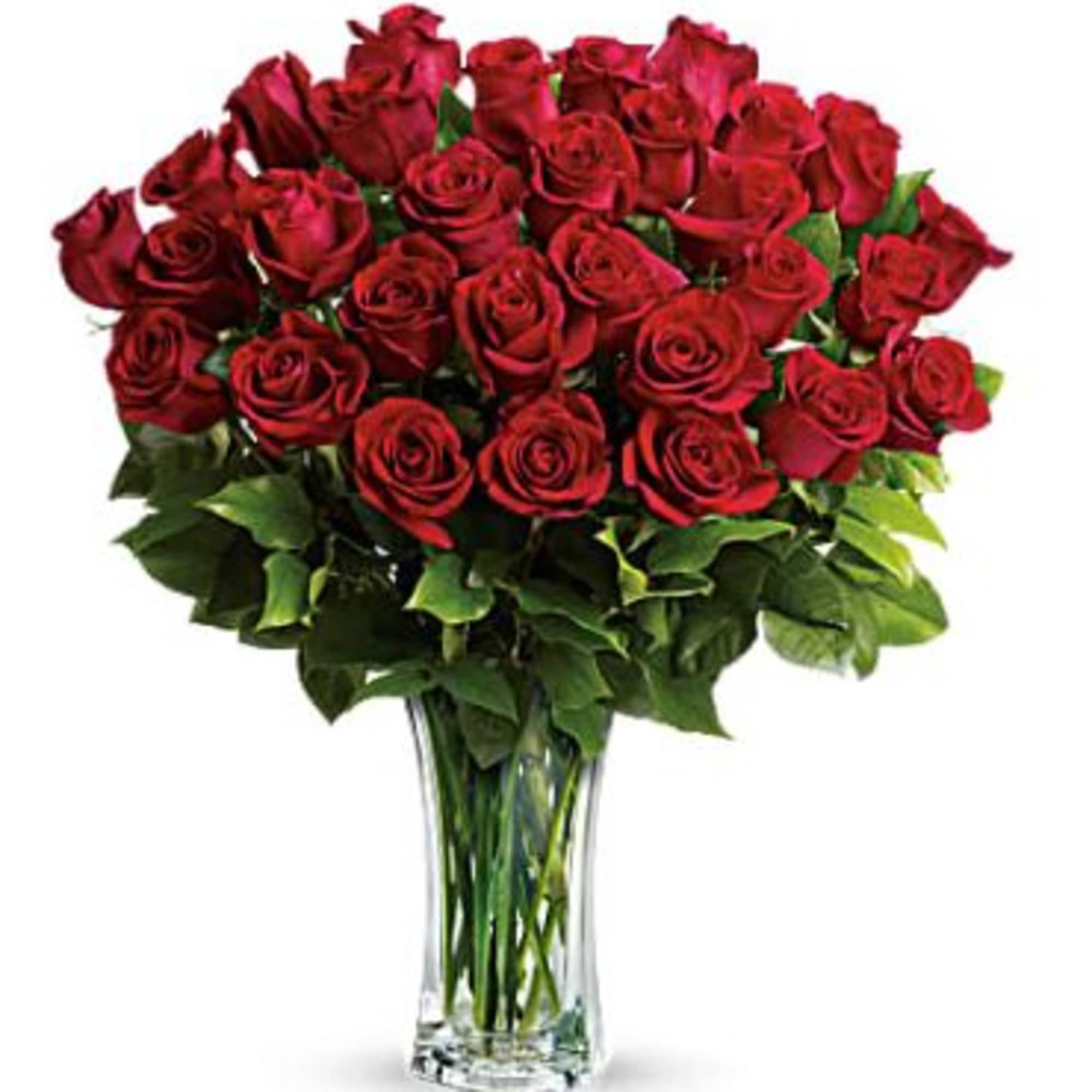 Sweep her off her feet with two dozen red roses in a Sweep her off her feet with two dozen red roses in a