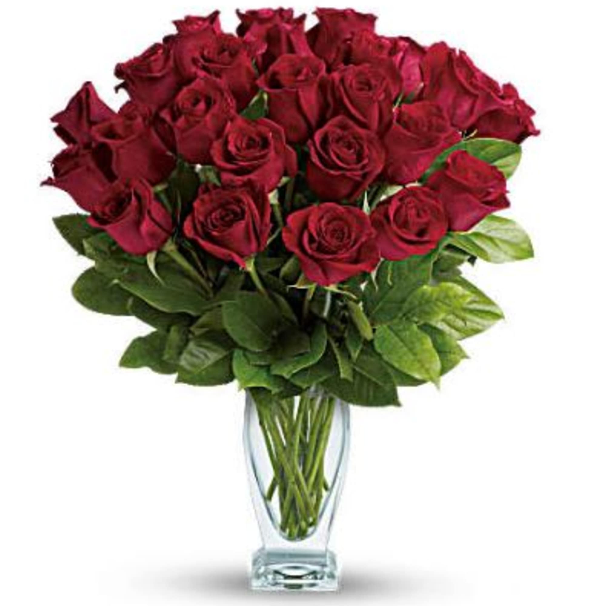 As classic as you can get! One dozen iconic red roses are As classic as you can get! One dozen iconic red roses are