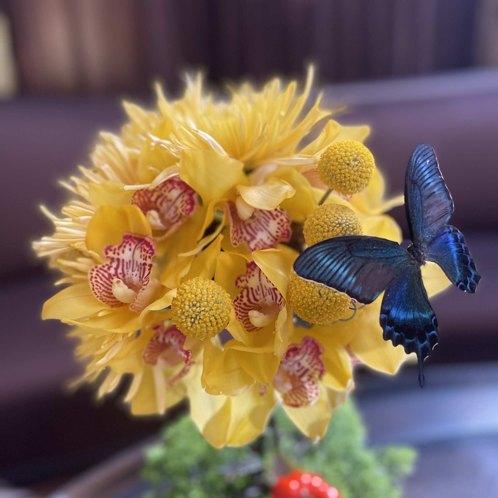 Ikebana yellow orchids and sunny chrysanthemums . Elegance and style . Amazing