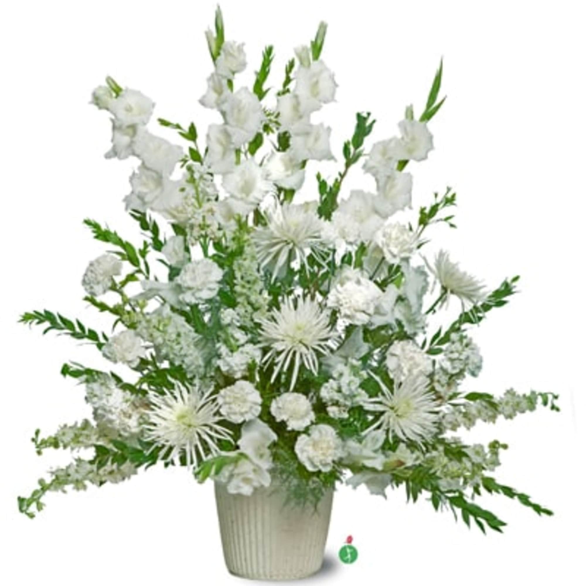 A beautiful display of all white flowers – including such bright blossoms A beautiful display of all white flowers – including such bright blossoms