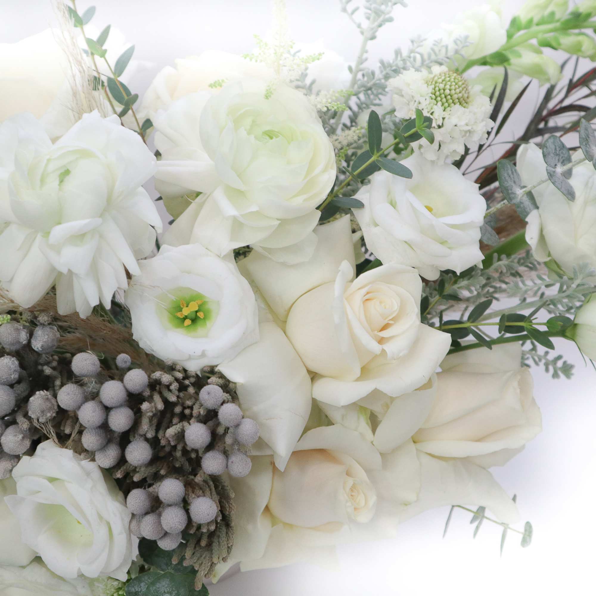 Nothing is more pure, innocent and delicate than a snowflake, this beautiful Nothing is more pure, innocent and delicate than a snowflake, this beautiful