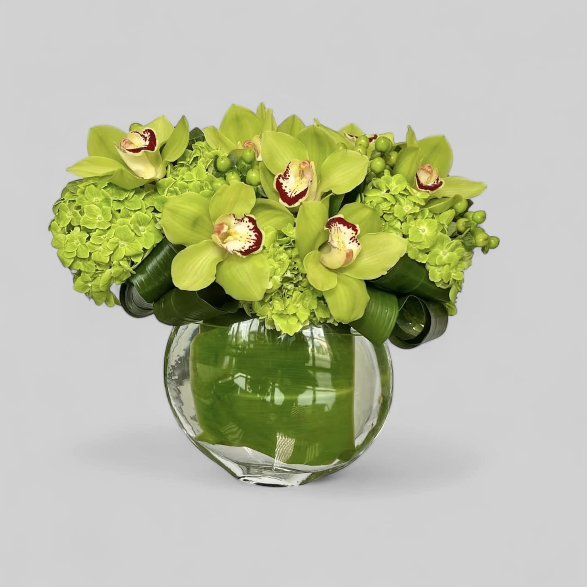 mix flower
green hydrangeas and green cymbidium 