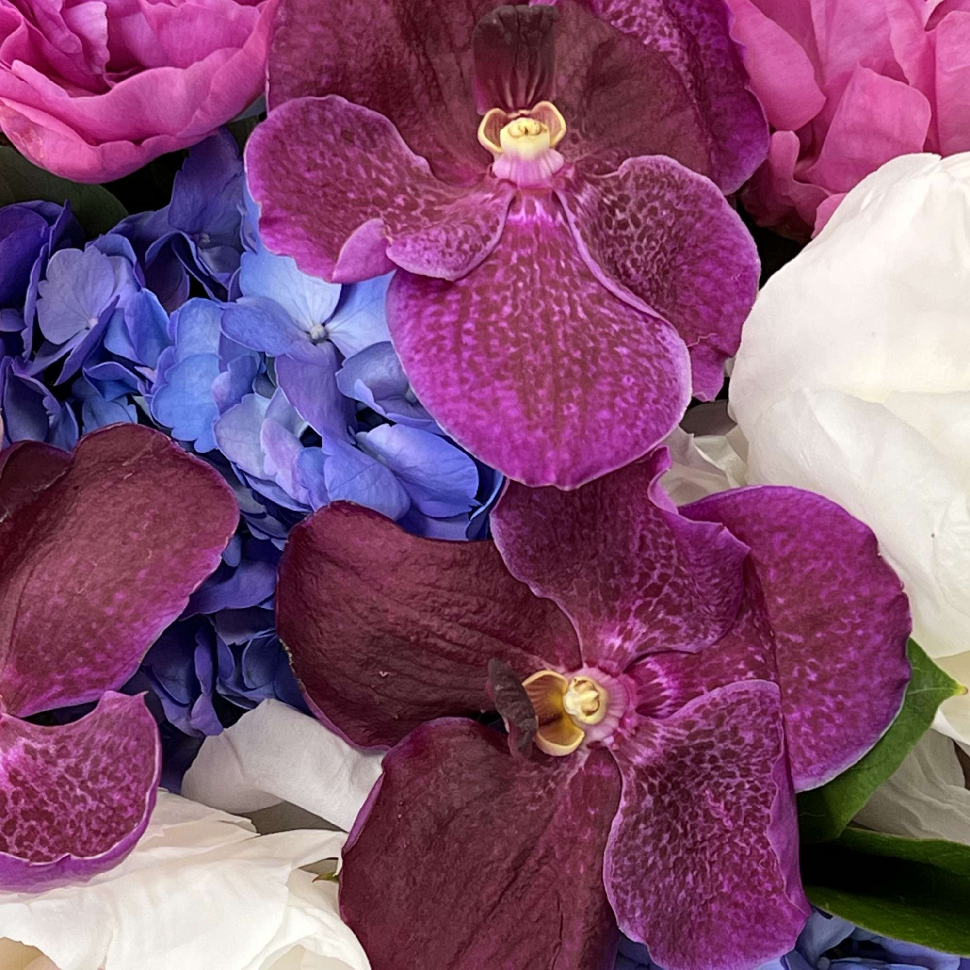 A luscious combination of pinks and purples with elegant orchids, peonies, and