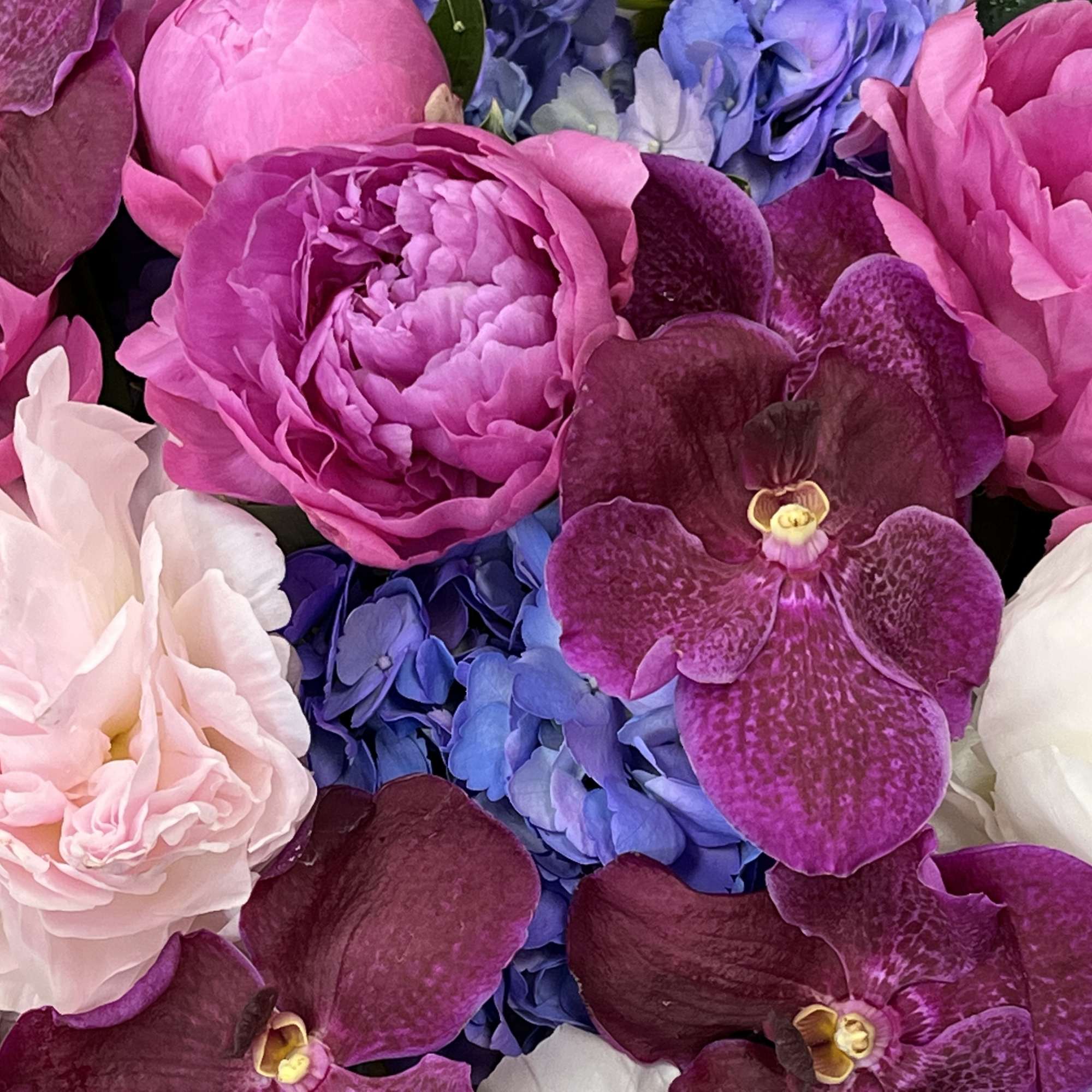 A luscious combination of pinks and purples with elegant orchids, peonies, and