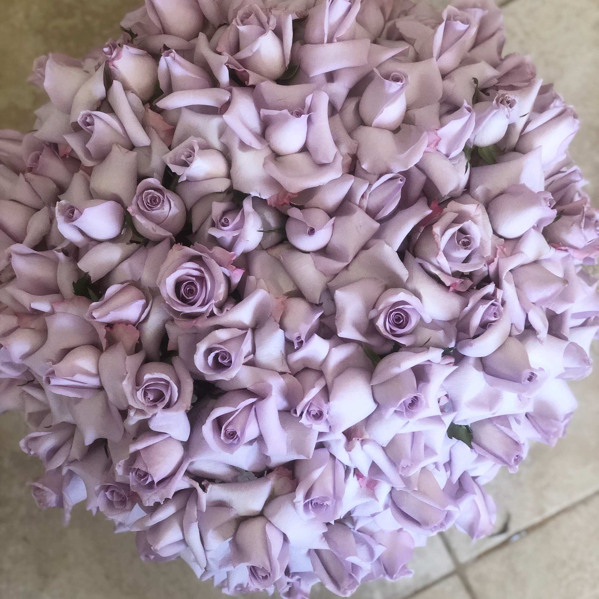  Lavender reflected roses arrangement. 