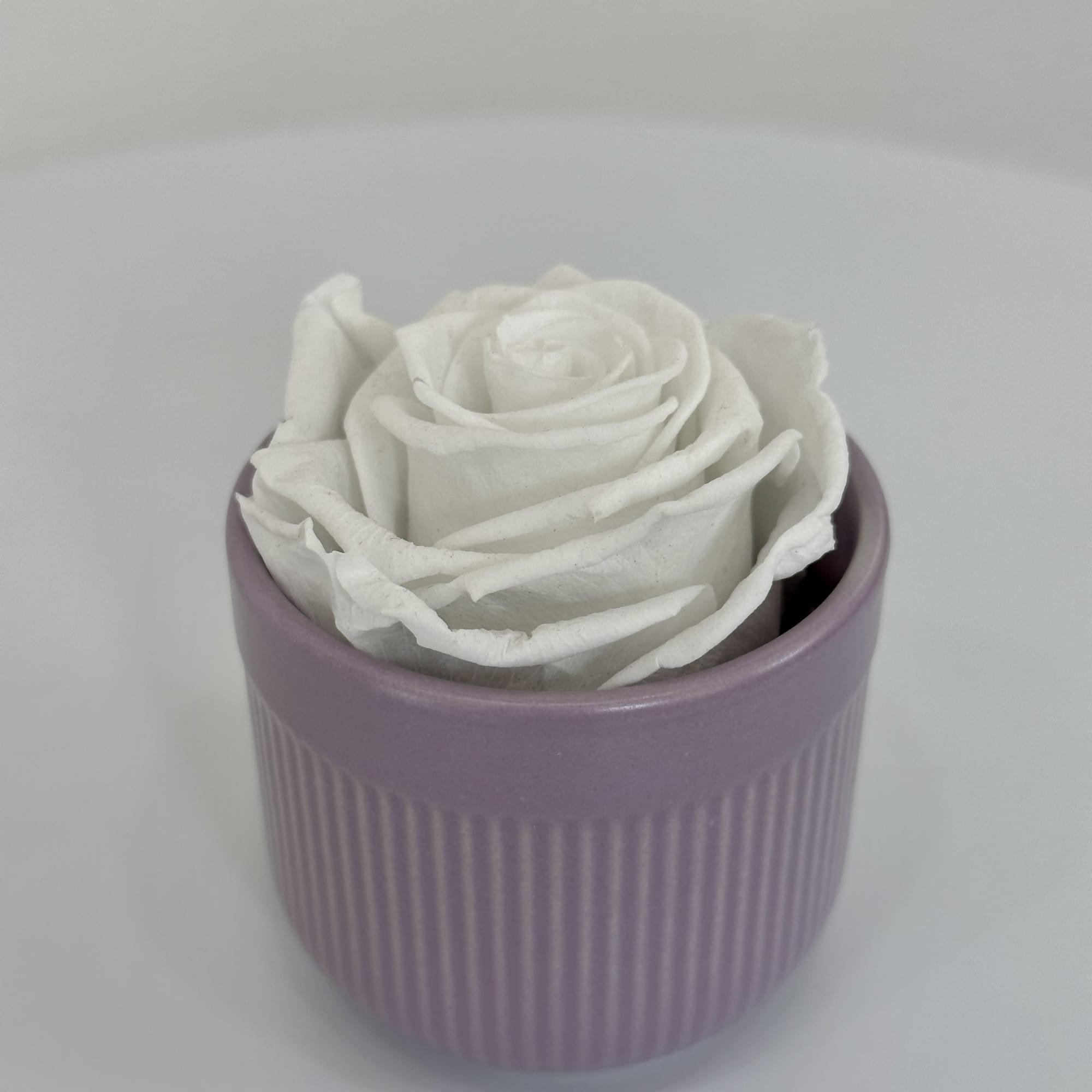 Introducing our exquisite single eternal rose, elegantly displayed in a chic vase.