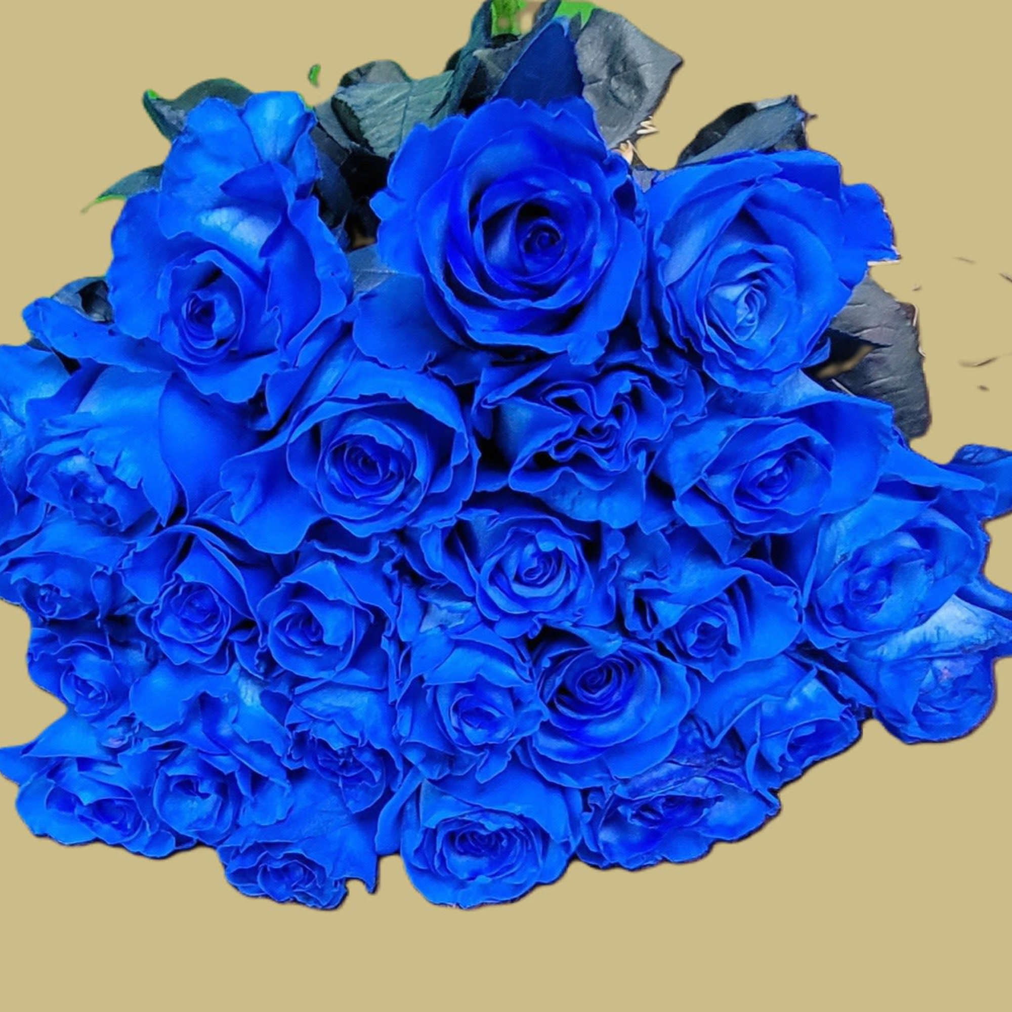 Blue Roses