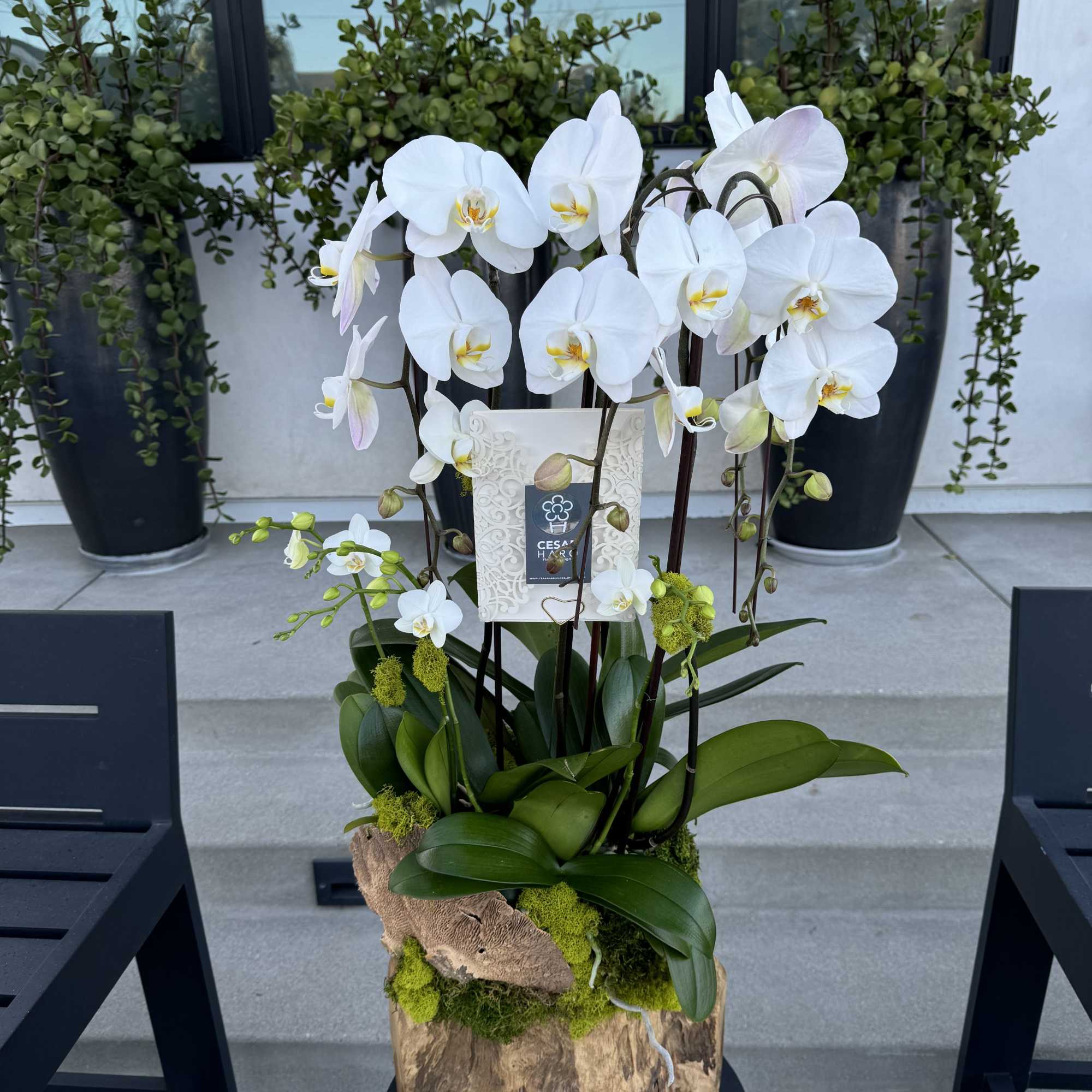 Unique Teak Wood Piece beautifully designed with phaleanopsis orchids and other accessories