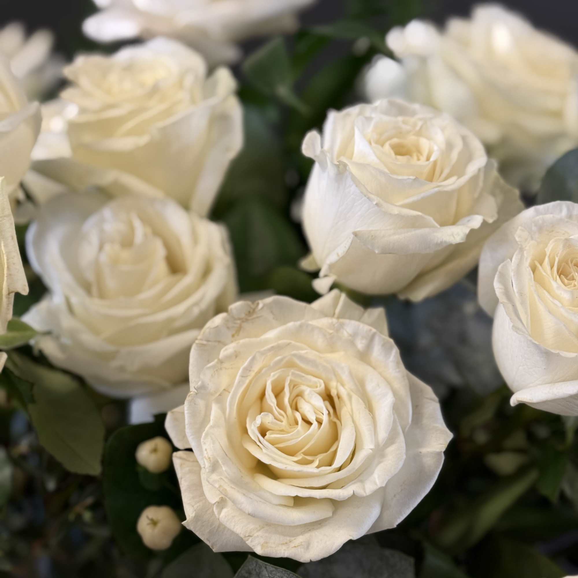 This luxurious arrangement of gorgeous roses, premium greens and other beautiful blooms