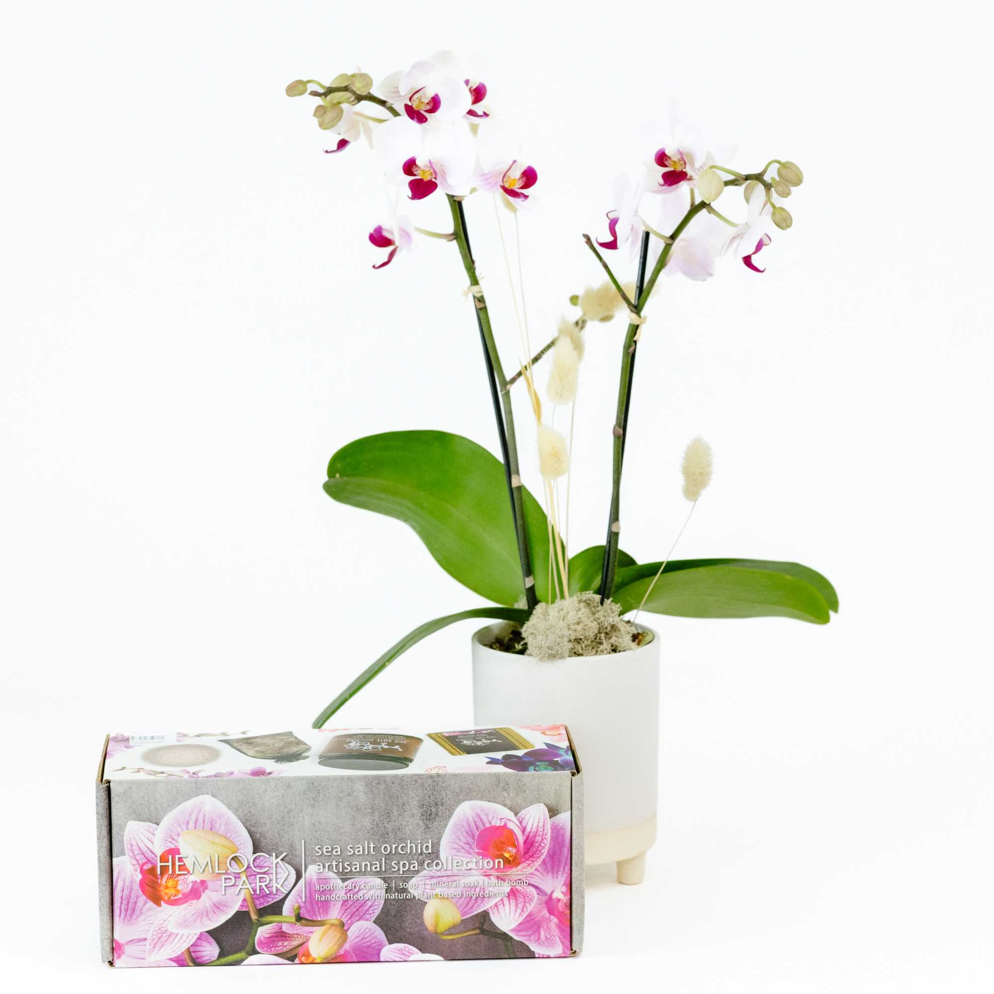 Treat your loved ones with a day at the spa with this