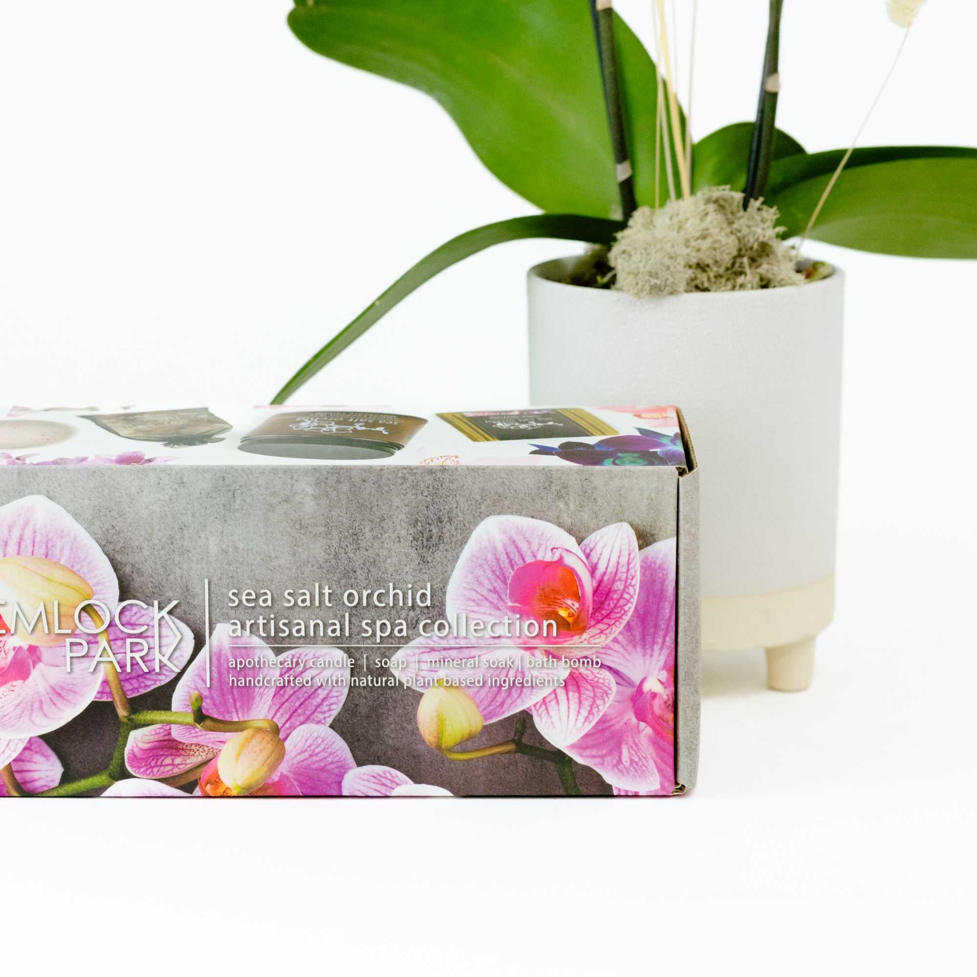 Treat your loved ones with a day at the spa with this