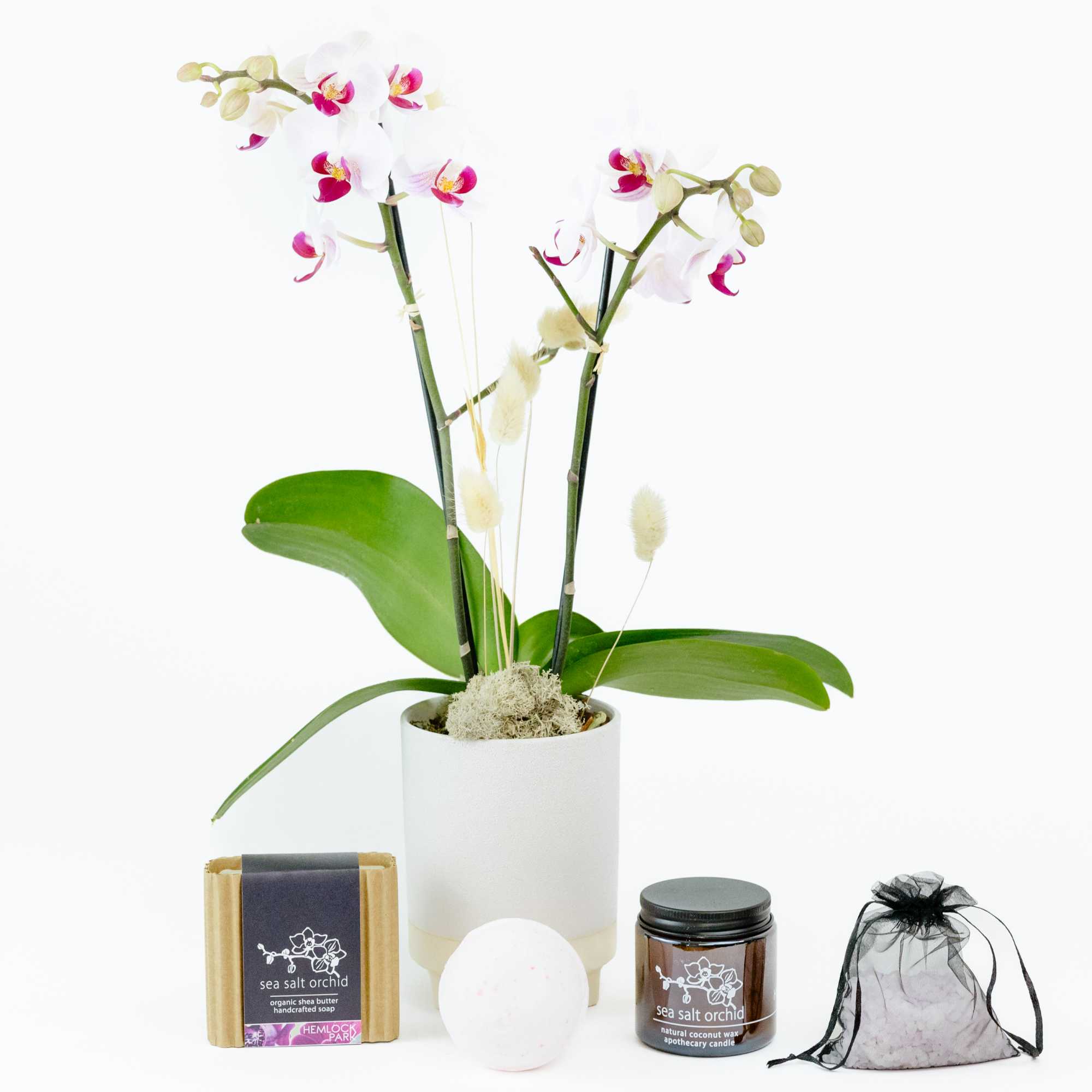 Treat your loved ones with a day at the spa with this