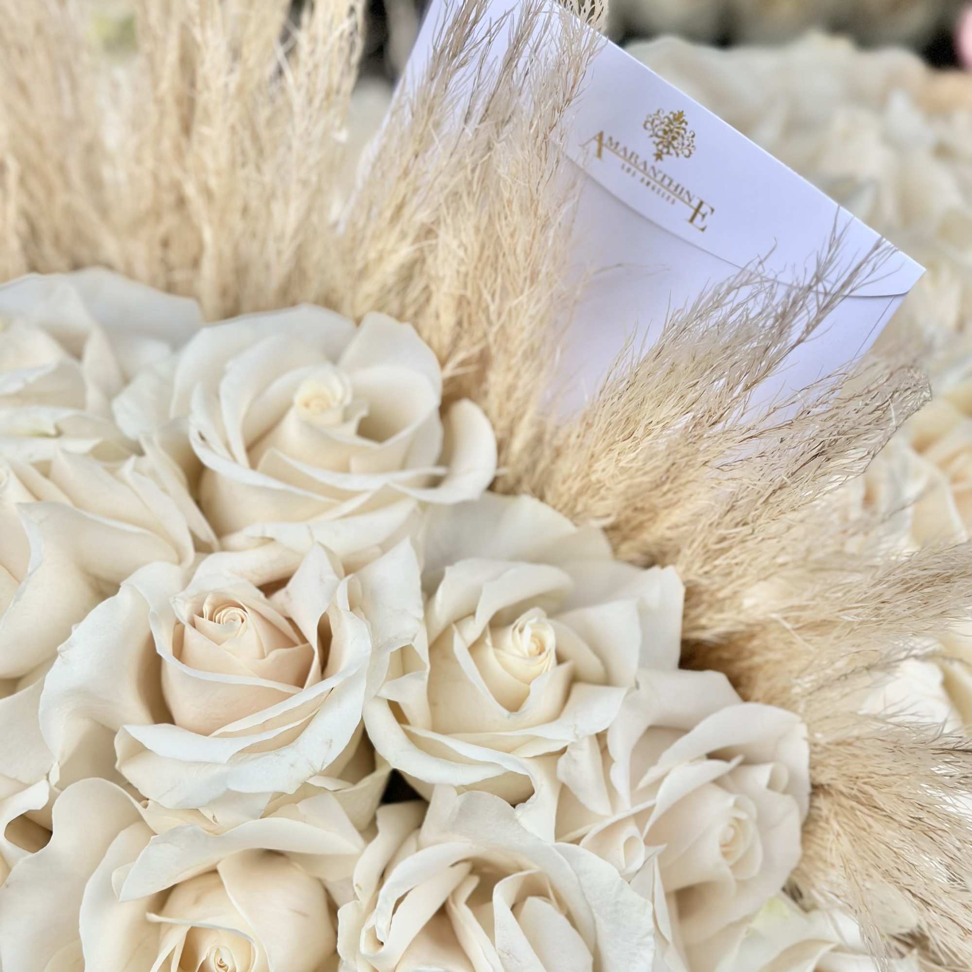 Immerse yourself in the tranquility of &quot;Whispering Serenity,&quot; an exquisite all-white rose