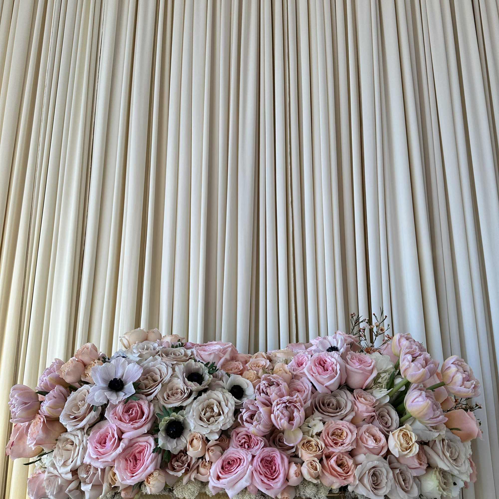 Chase away the winter blues with this burst of sunshine! Sun-kissed tulips