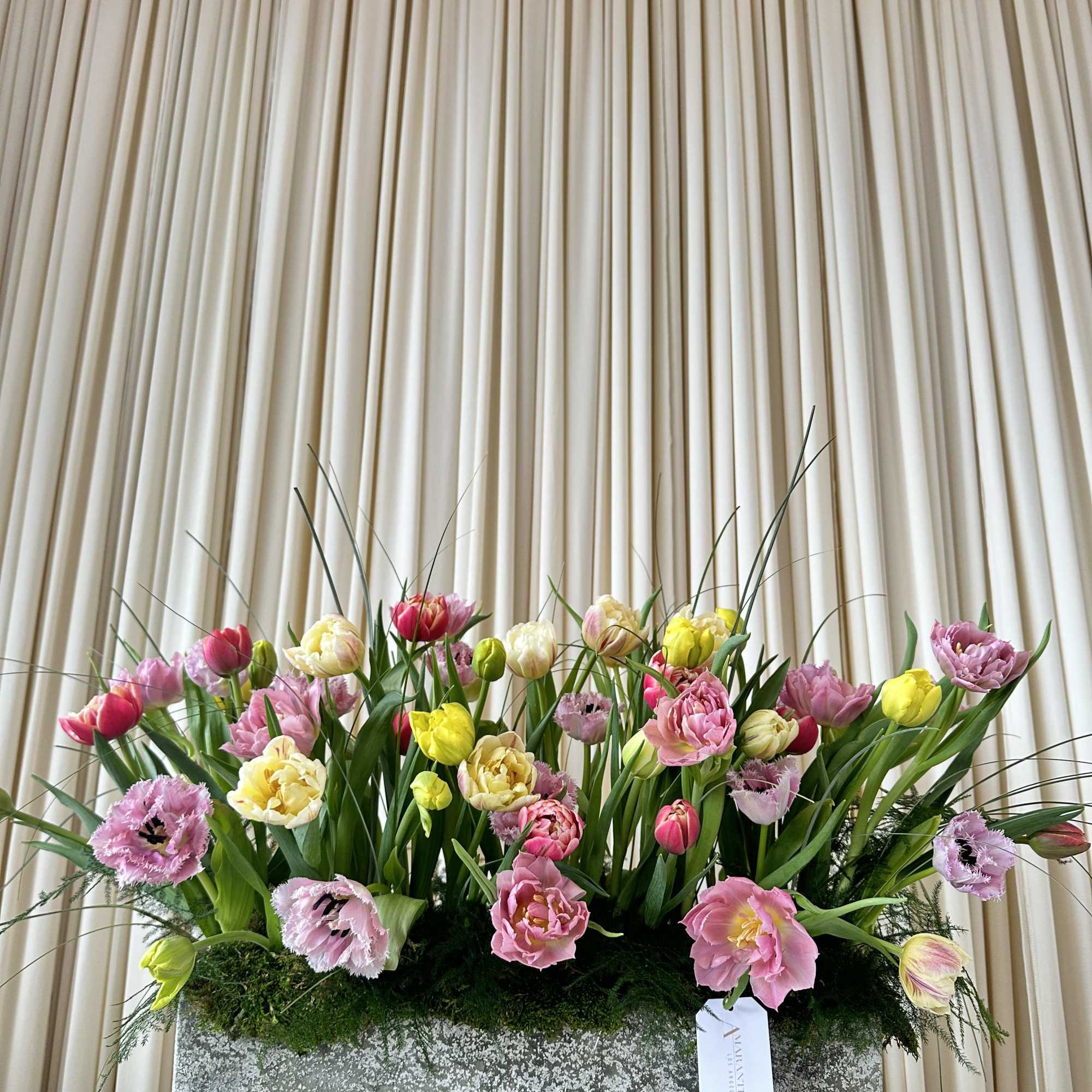 A delightful bouquet of garden tulips in a mix of classic and