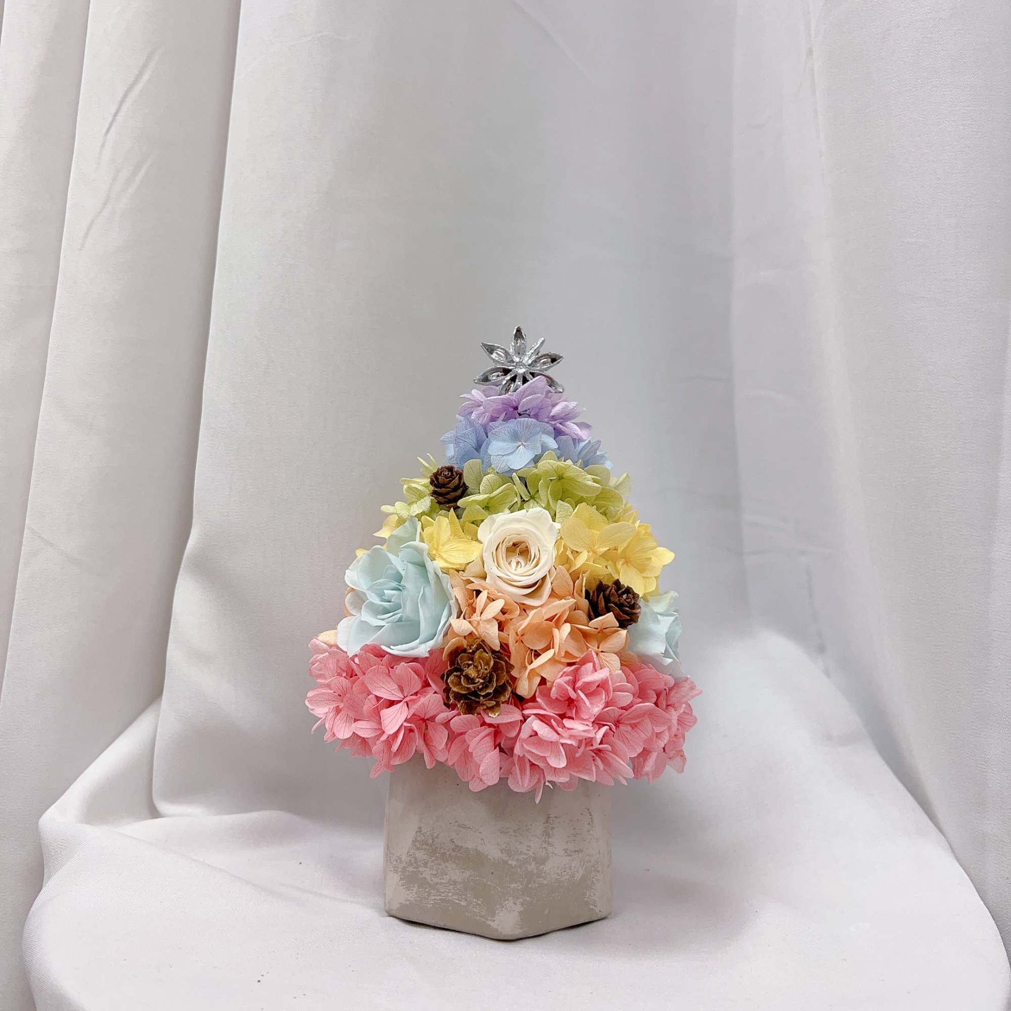 It’s a small plant which suitable for bedroom or office desk. Last It’s a small plant which suitable for bedroom or office desk. Last