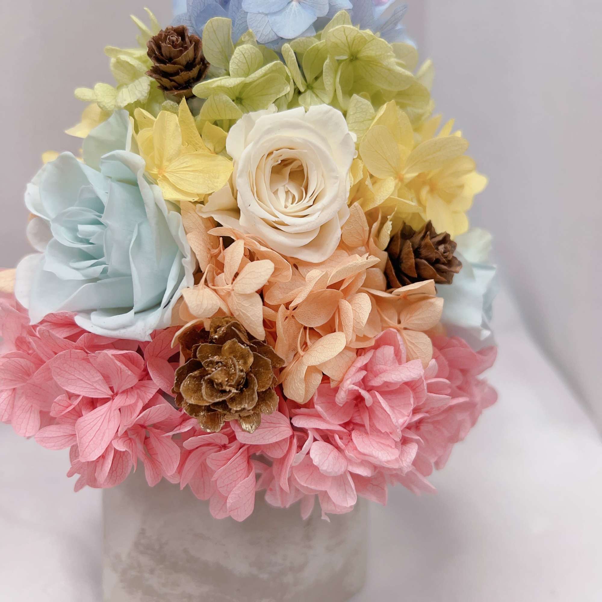 It’s a small plant which suitable for bedroom or office desk. Last It’s a small plant which suitable for bedroom or office desk. Last