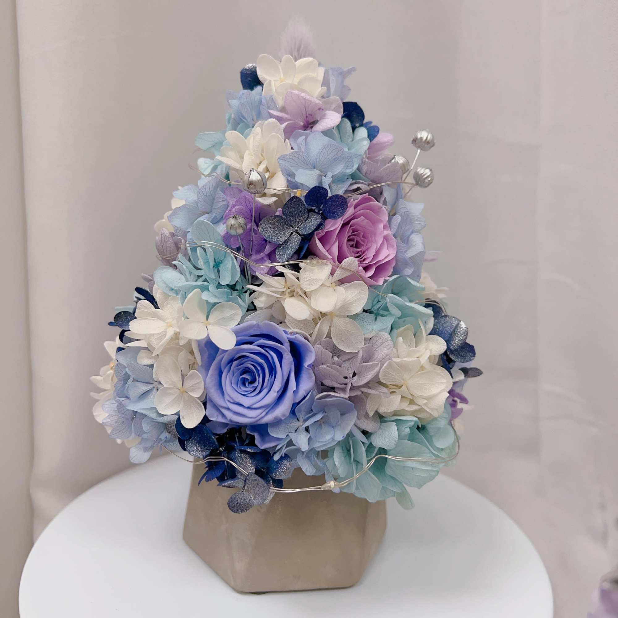 It’s a small plant which suitable for bedroom or office desk. Last It’s a small plant which suitable for bedroom or office desk. Last