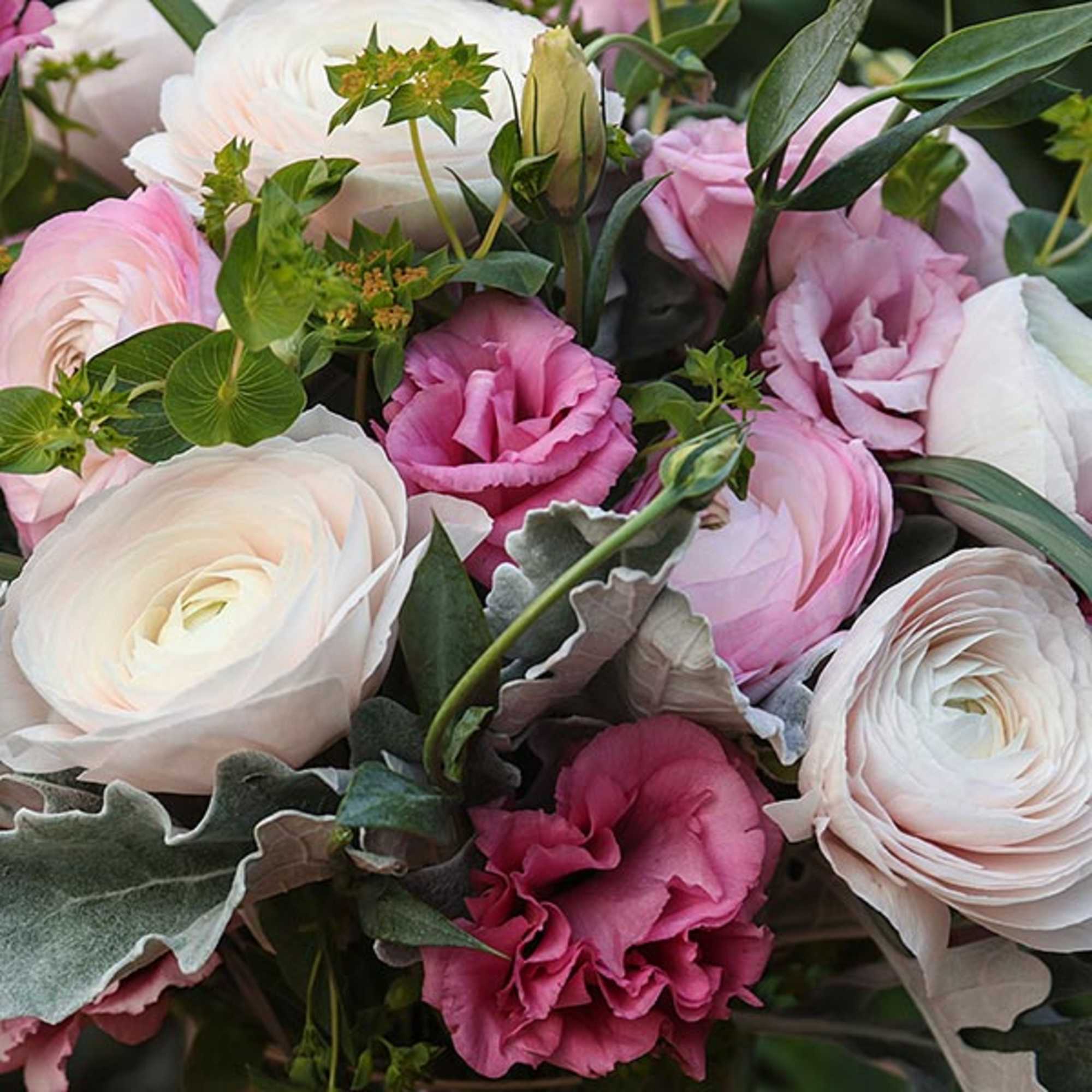 [ Height: 18&#039;&#039; - 19&#039;&#039; | Diameter: 11&#039;&#039; - 12&#039;&#039; ]
Airy and