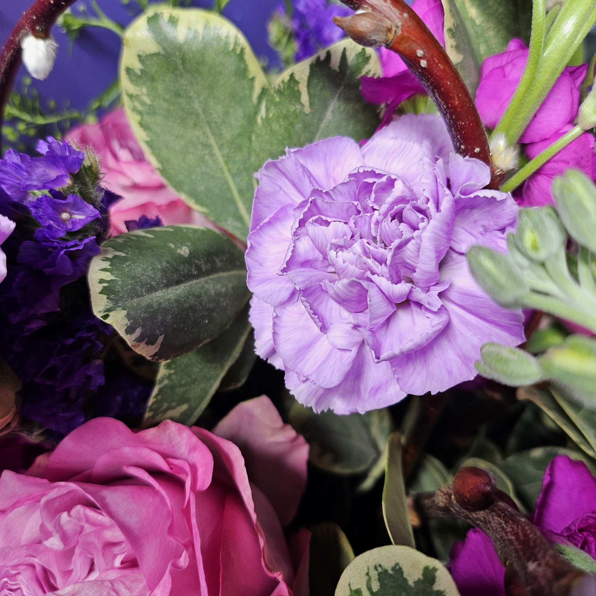 Indulge in the mesmerizing hues of this "Radiant Lavender Bliss" bouquet. Featuring Indulge in the mesmerizing hues of this "Radiant Lavender Bliss" bouquet. Featuring