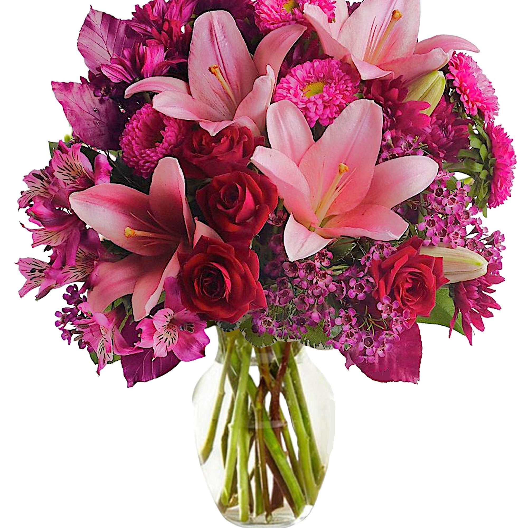 Soft, soothing shades of lavender contrast quietly with the hot pink and