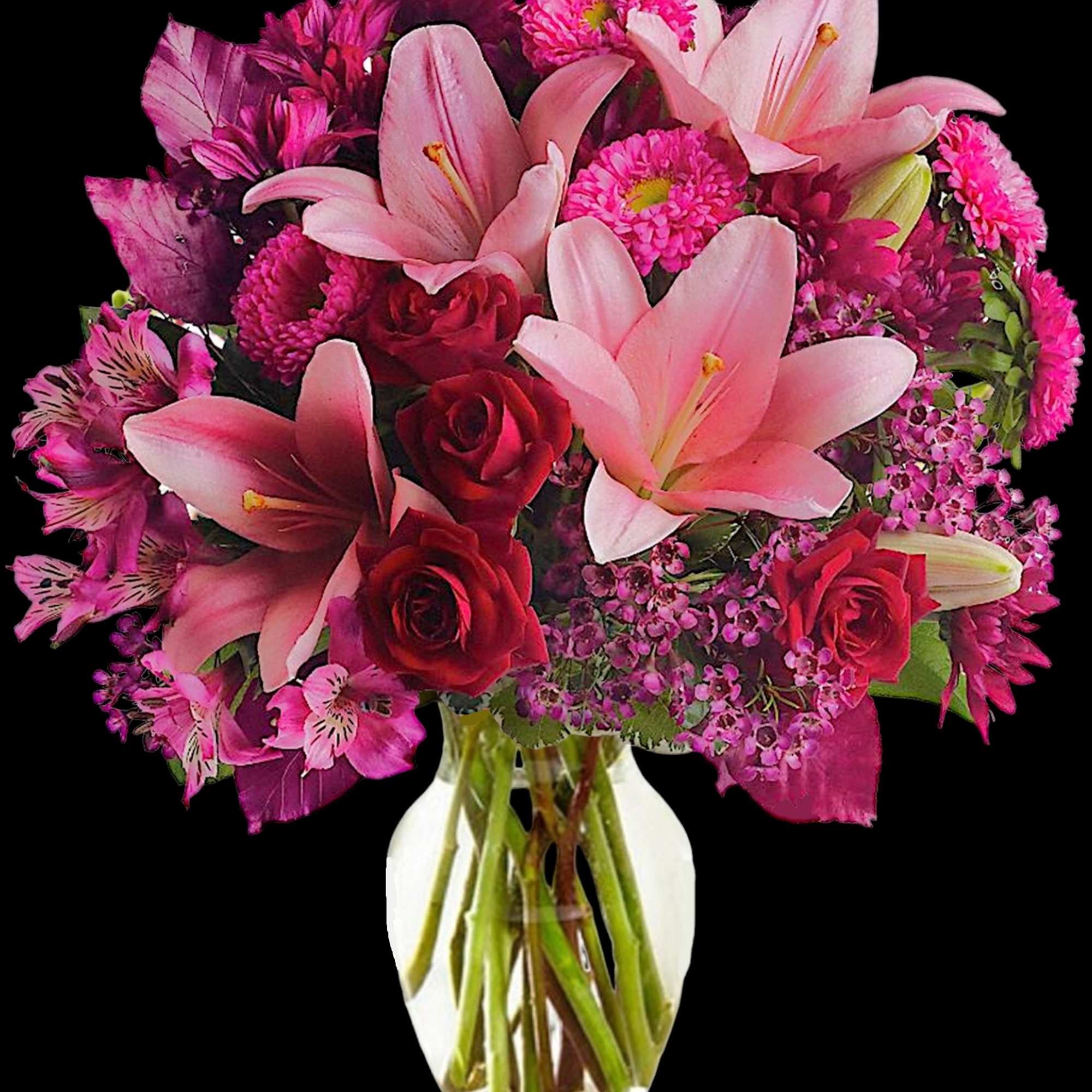 Soft, soothing shades of lavender contrast quietly with the hot pink and