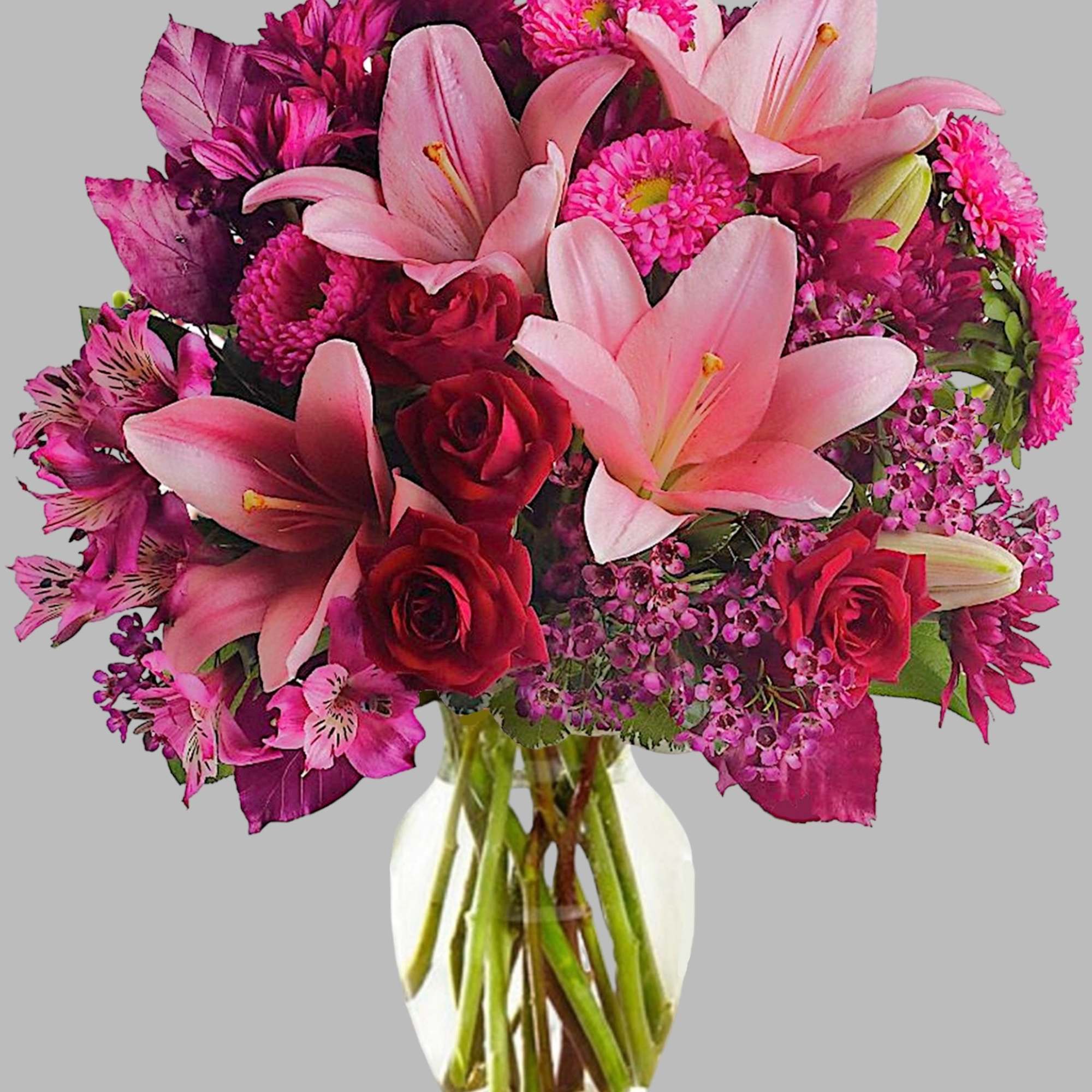 Soft, soothing shades of lavender contrast quietly with the hot pink and