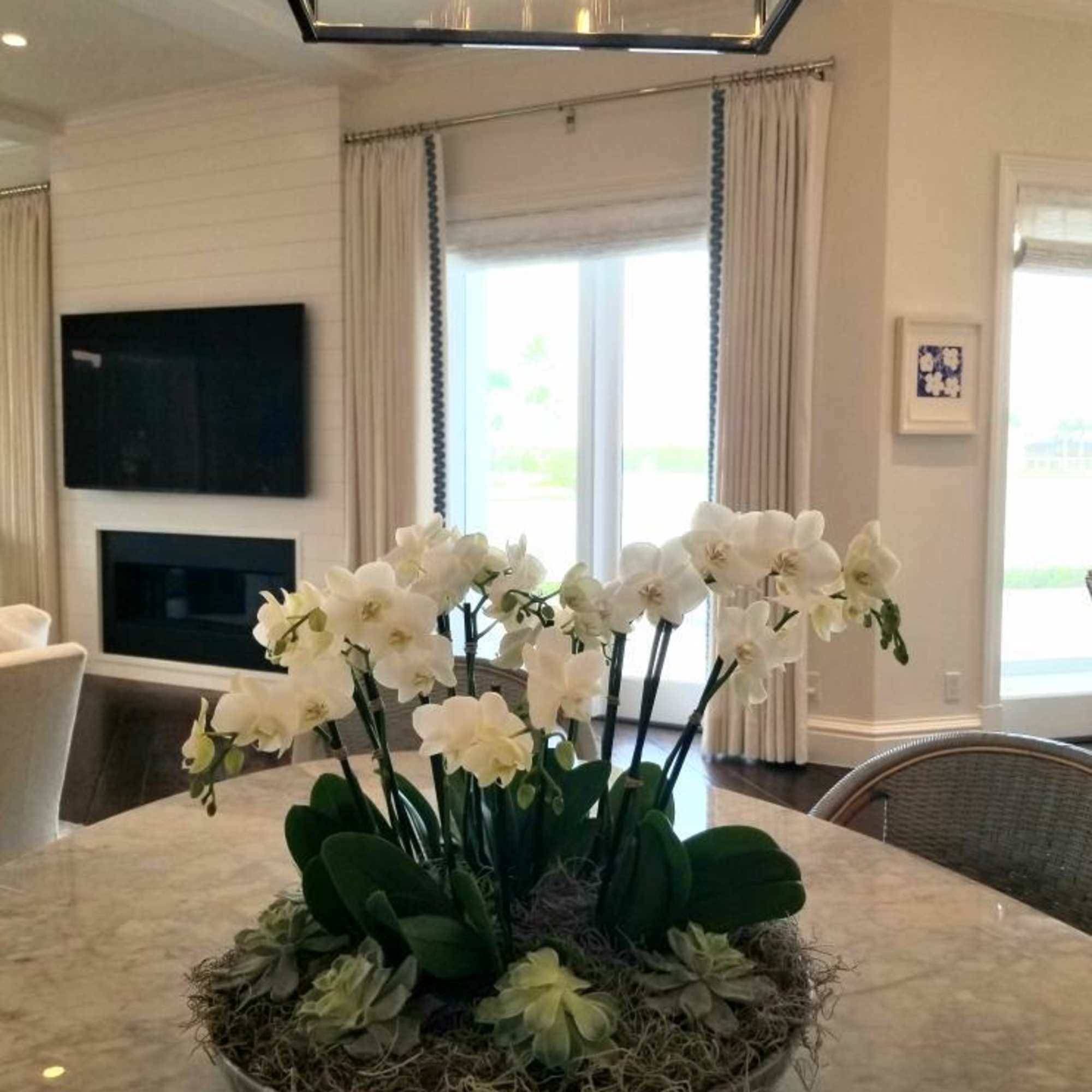 Orchids are a great option for any home. We can dress them Orchids are a great option for any home. We can dress them