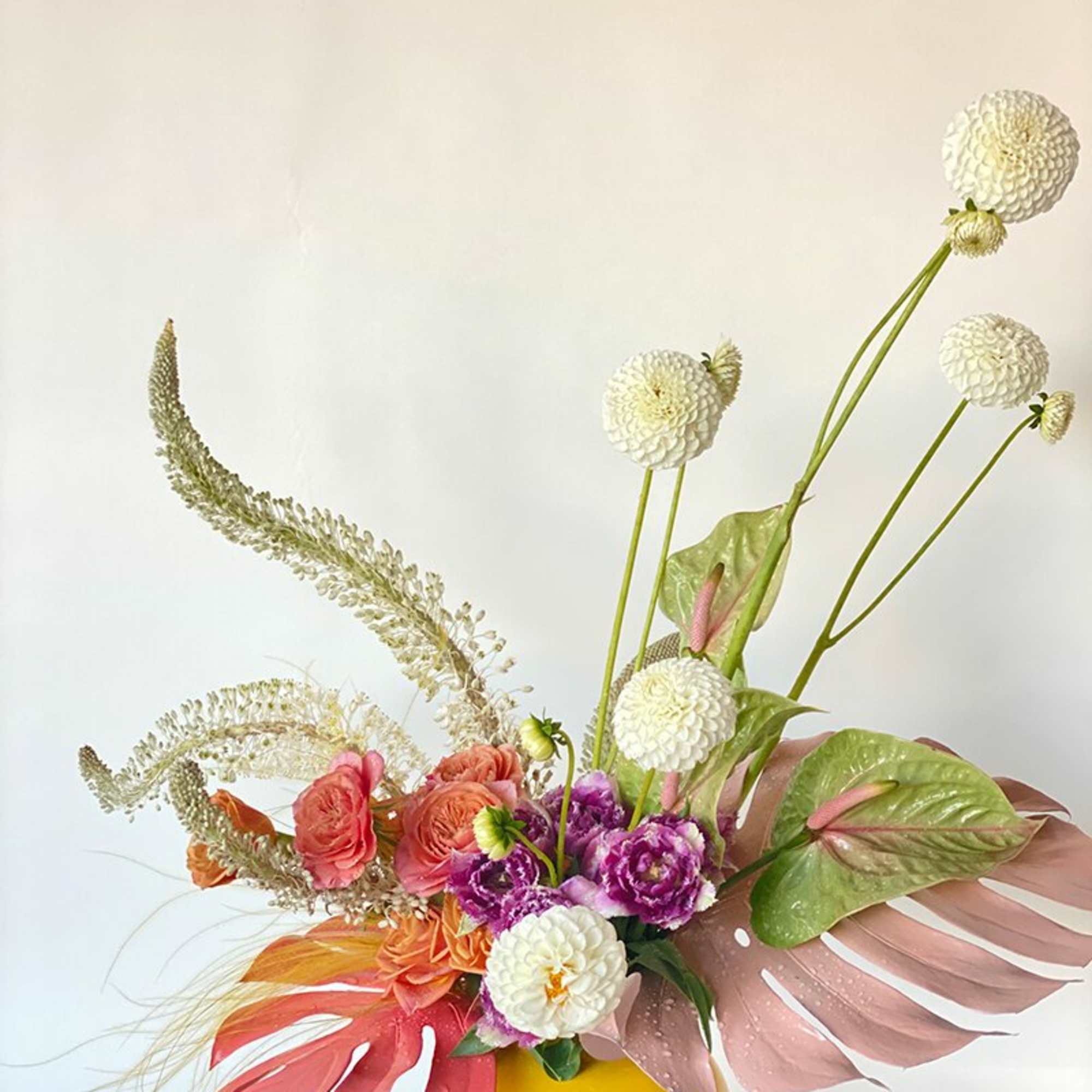 - Stands tall and vibrant
- Bright colored flowers and painted leaves
- Lofty