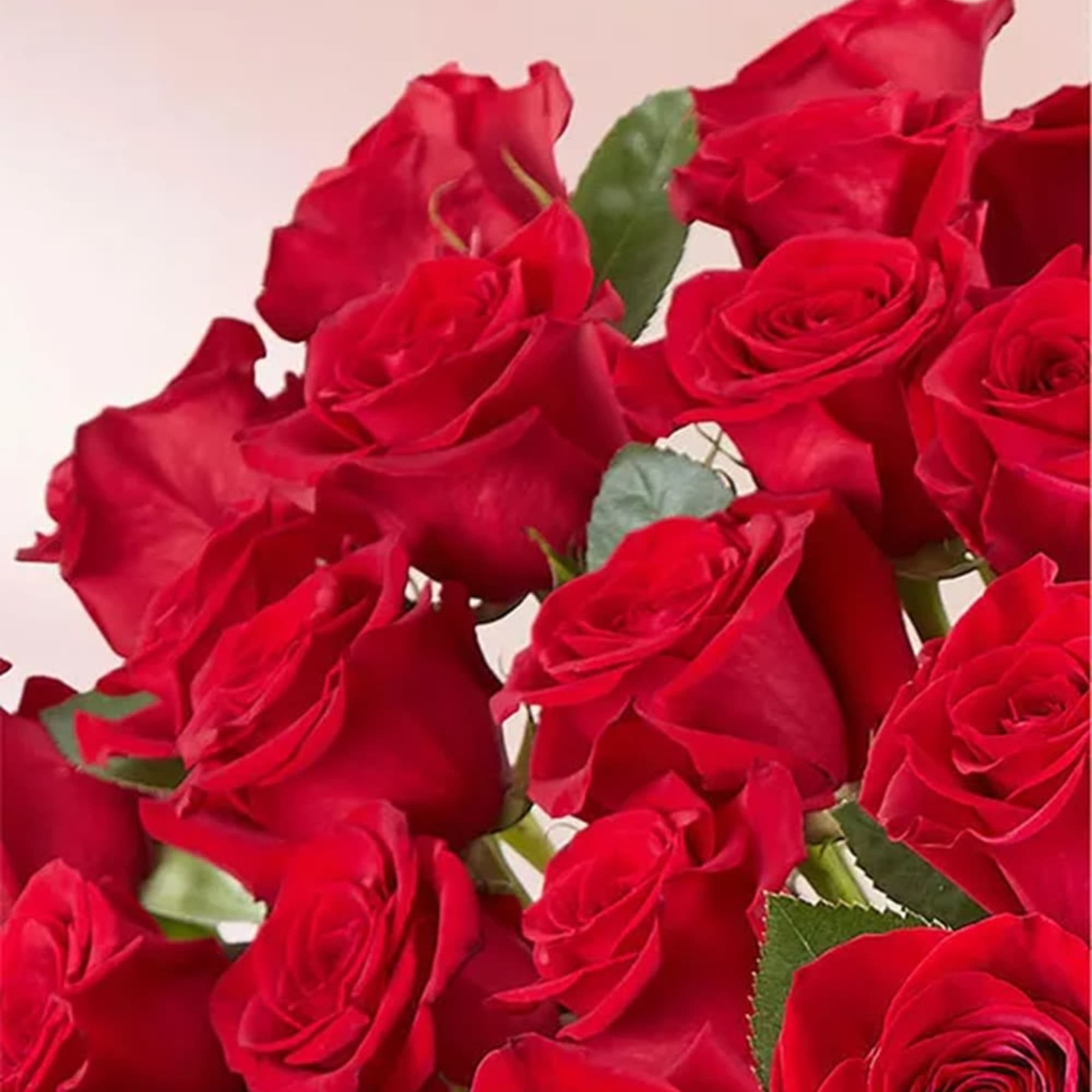 Wow someone like never before with 100 stunning long stem red roses;