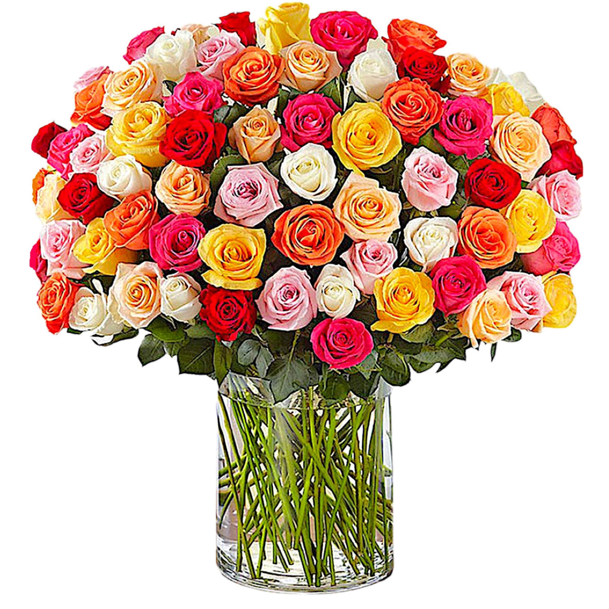 Wow someone like never before with 100 stunning long stem multicolor roses;