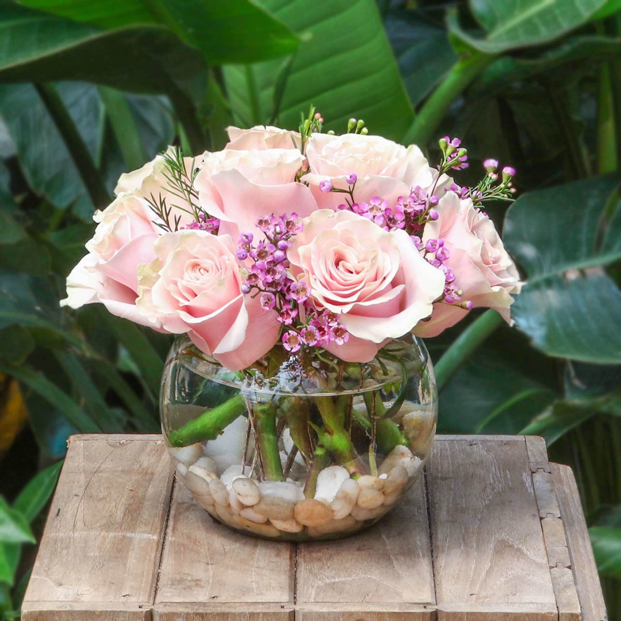 [ Height: 8&#039;&#039; - 9&#039;&#039; | Diameter: 8&#039;&#039; - 9&#039;&#039; ]
The perfect