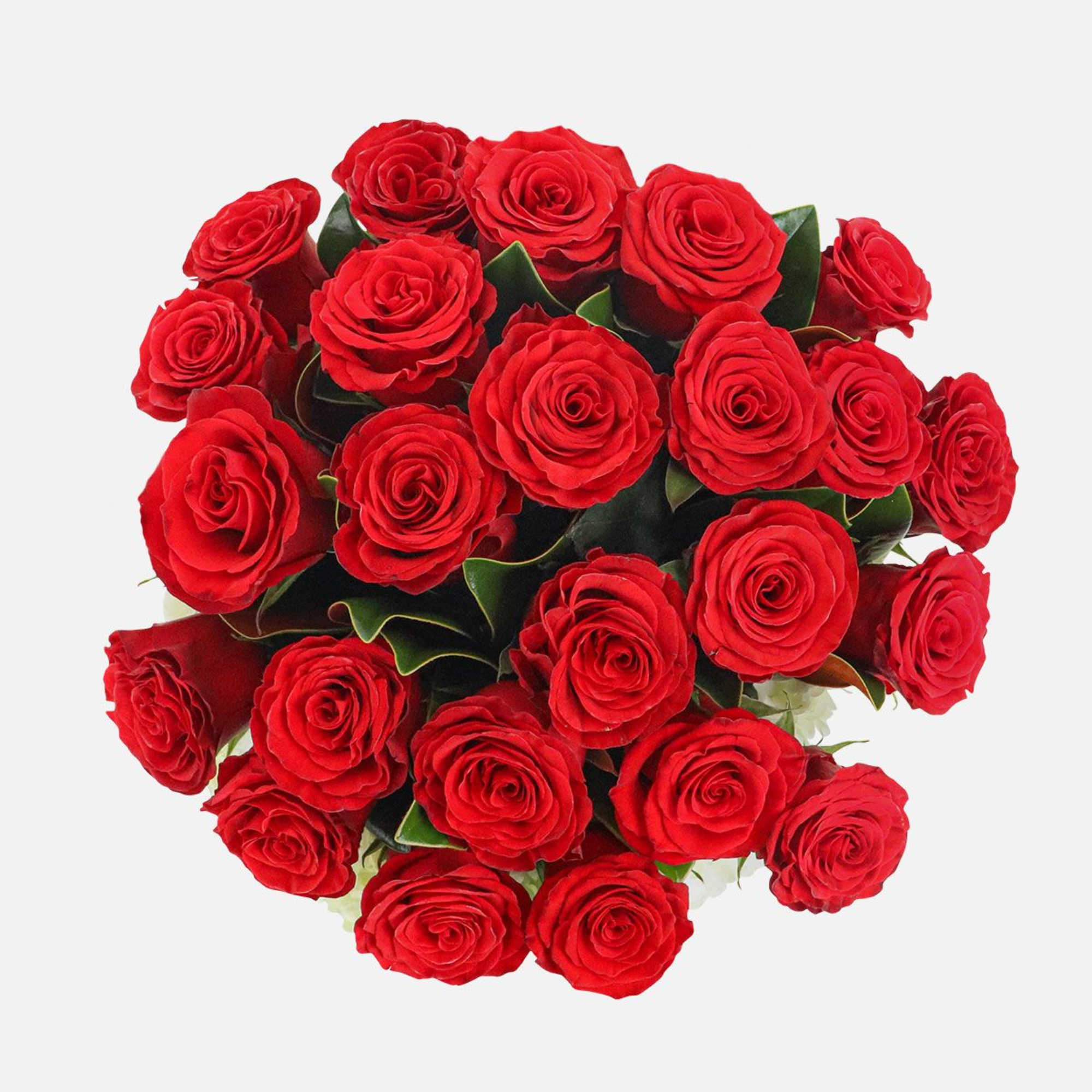 [ Height: 23&#039;&#039; - 25&#039;&#039; | Diameter: 20&#039;&#039; - 22&#039;&#039; ]
Bouquet of
