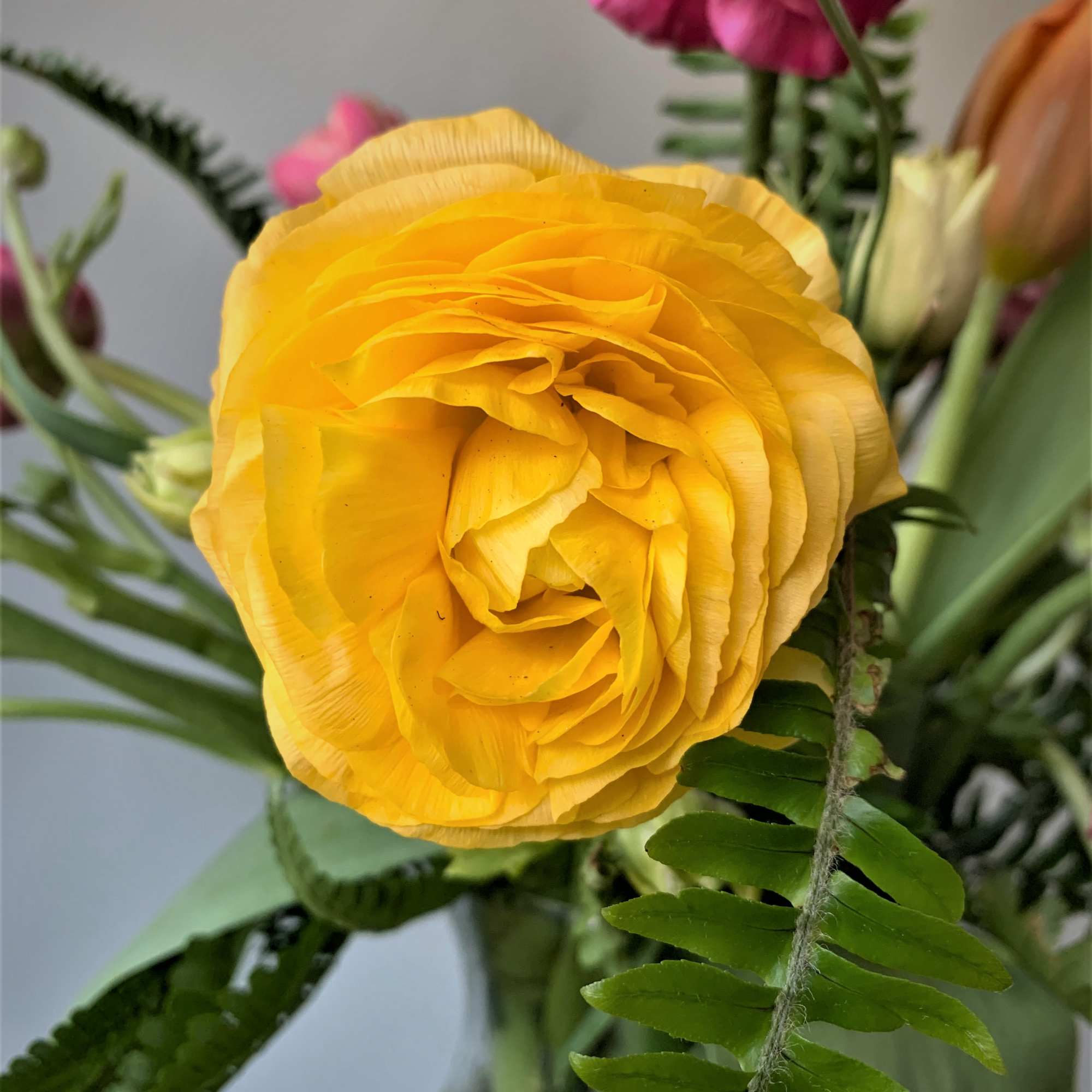 Classic and simple with colors of spring time, pinks,oranges and vibrant yellow.