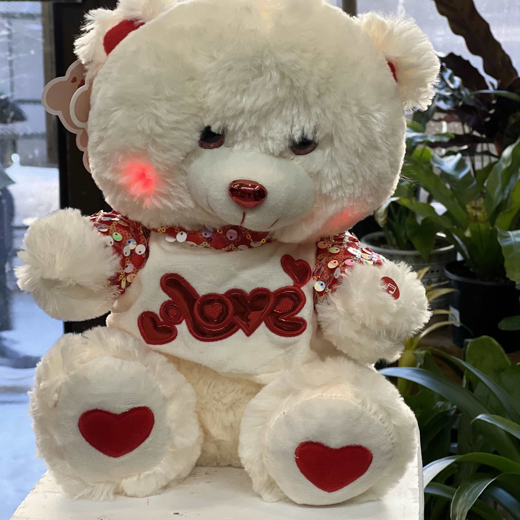 This soft and cute bear is a perfect gift foto put a