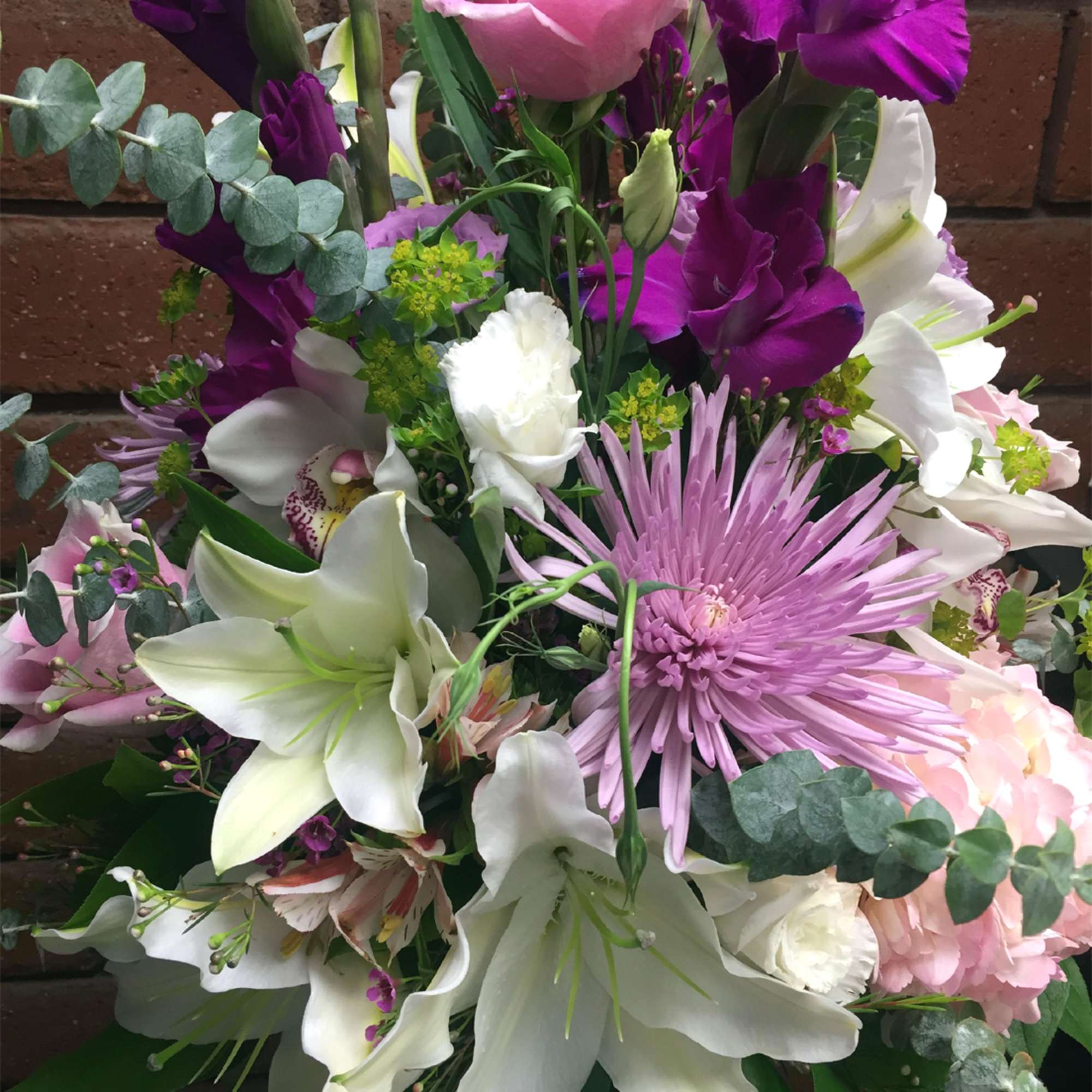 Intriguing hues of pink, white, lavender and purple blooms form an ambiance