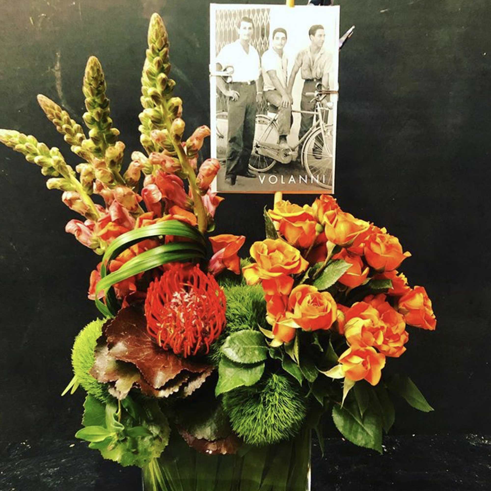Great movement arrangement, with flair. Orange Snap Dragons, Orange Spray Roses, Palmetto Great movement arrangement, with flair. Orange Snap Dragons, Orange Spray Roses, Palmetto