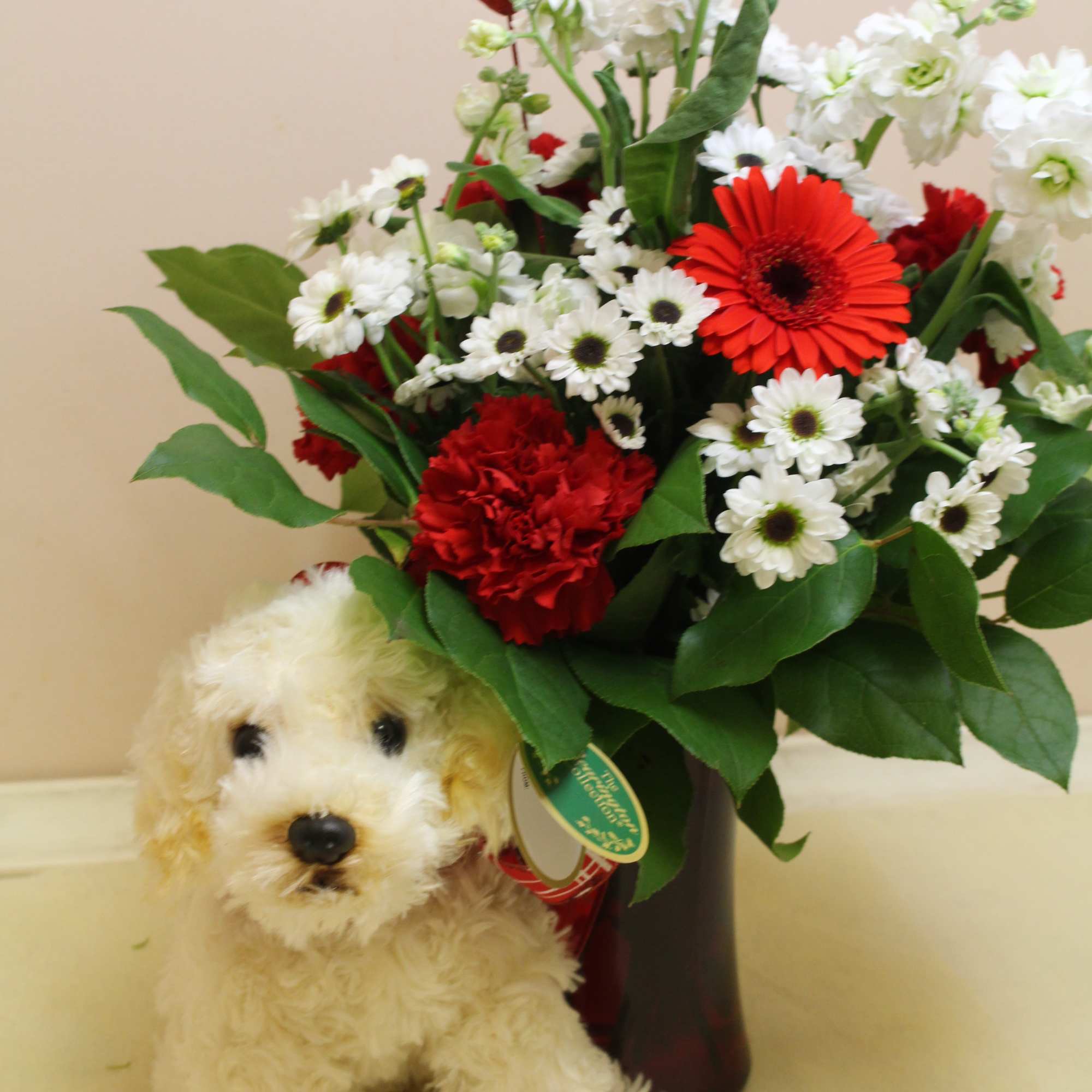 ***** Please pick what dog/cat you would like. an adorable arrangement filled ***** Please pick what dog/cat you would like. an adorable arrangement filled